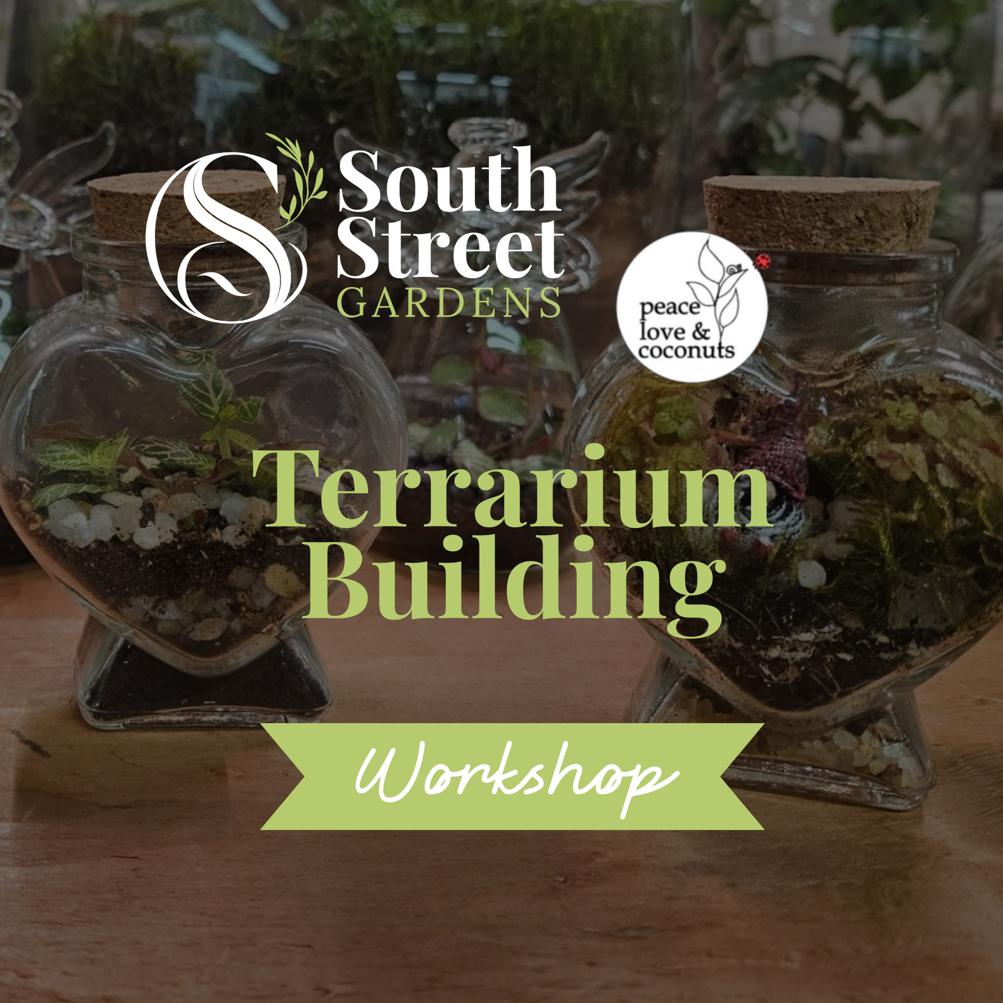 Website WorkshopClass Cover Photos.png