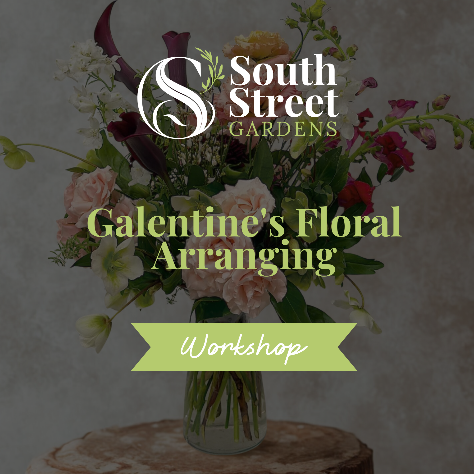 Website WorkshopClass Cover Photos.png