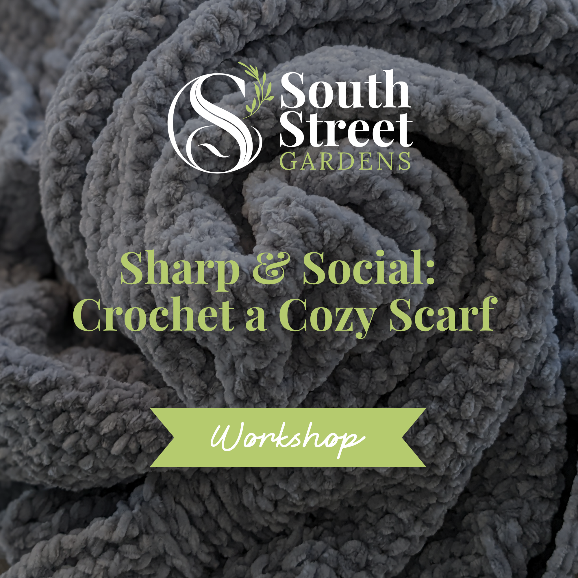 Cat's Copy of Website WorkshopClass Cover Photos (16).png