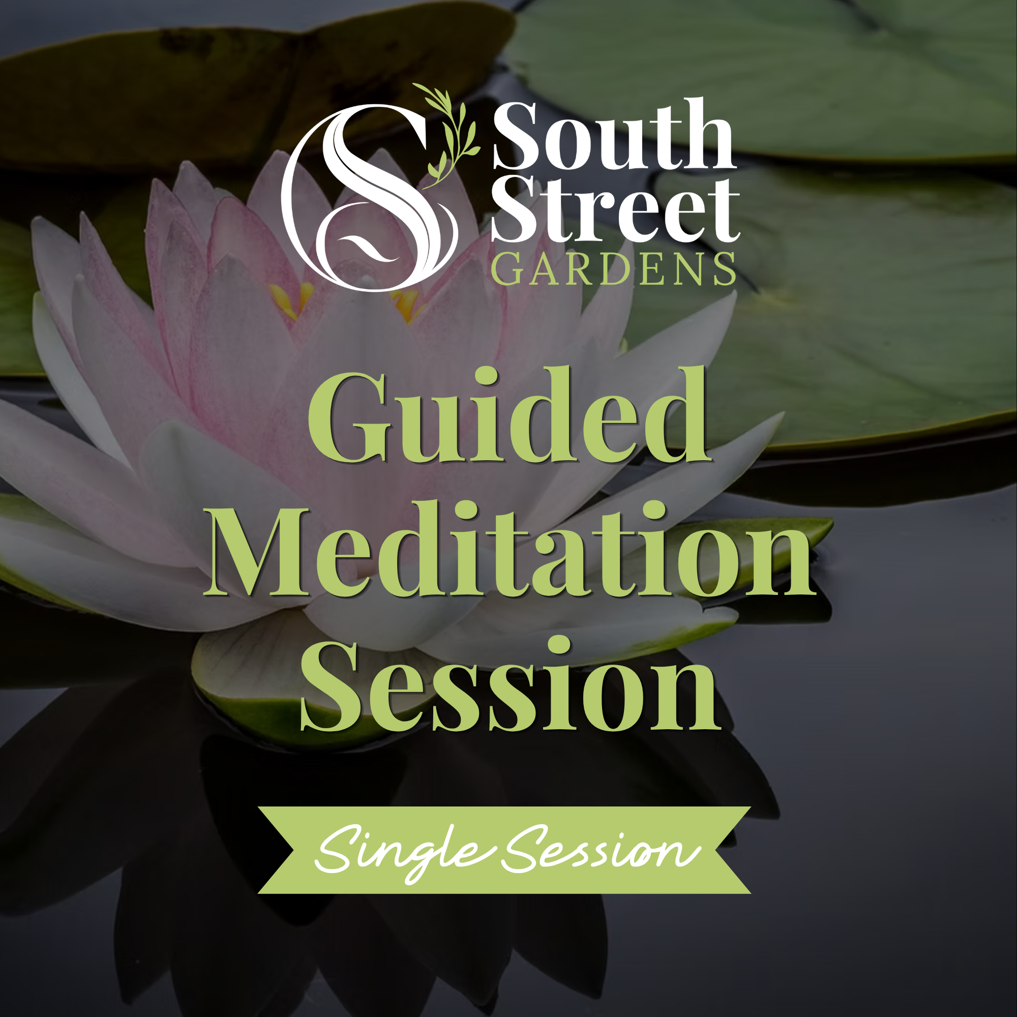 Guided Meditation (2).png
