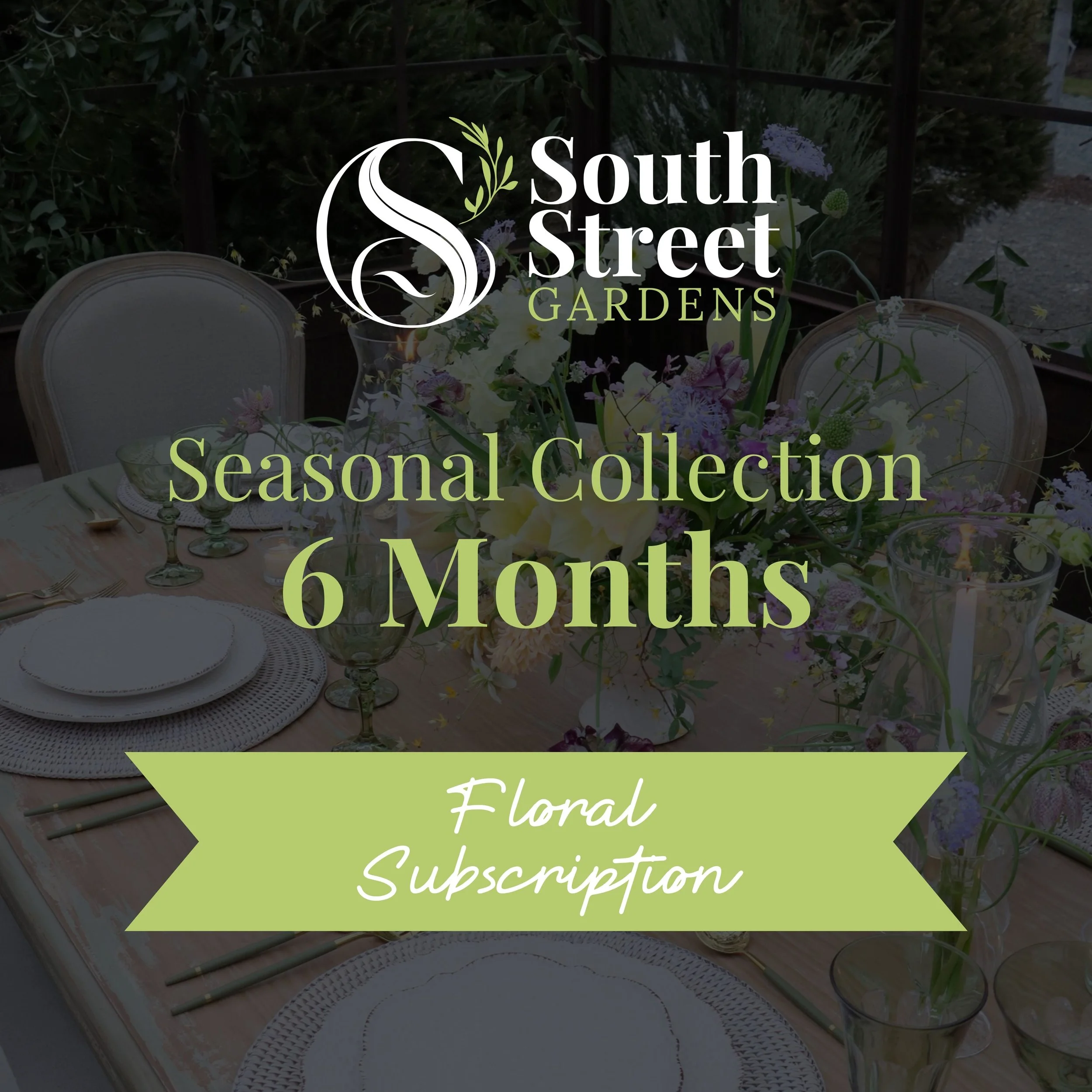 Seasonal Collection, 6 Months