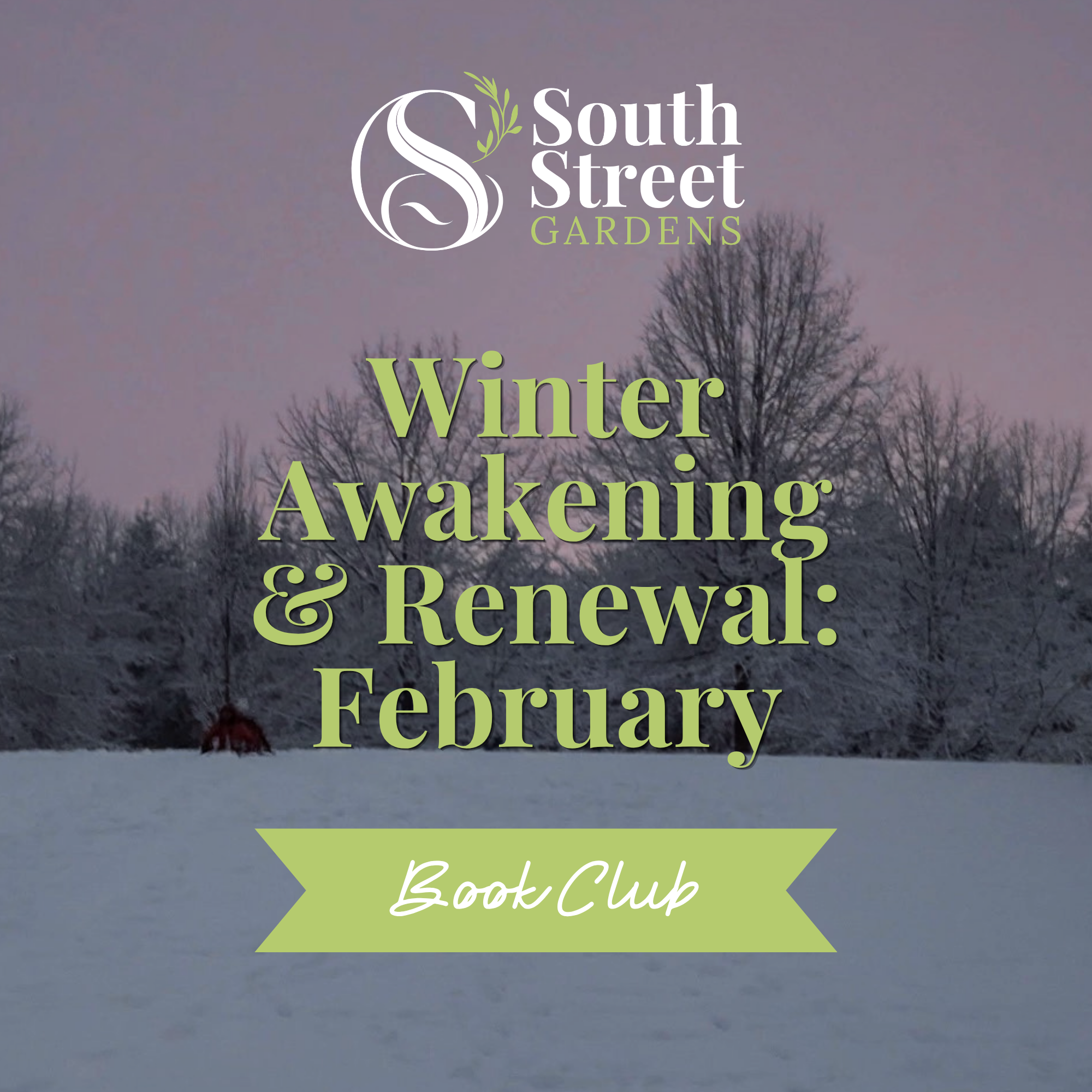 February Book Club: Winter Awakening & Renewal - Thursday, February 11, 6:30pm - 8:30pm