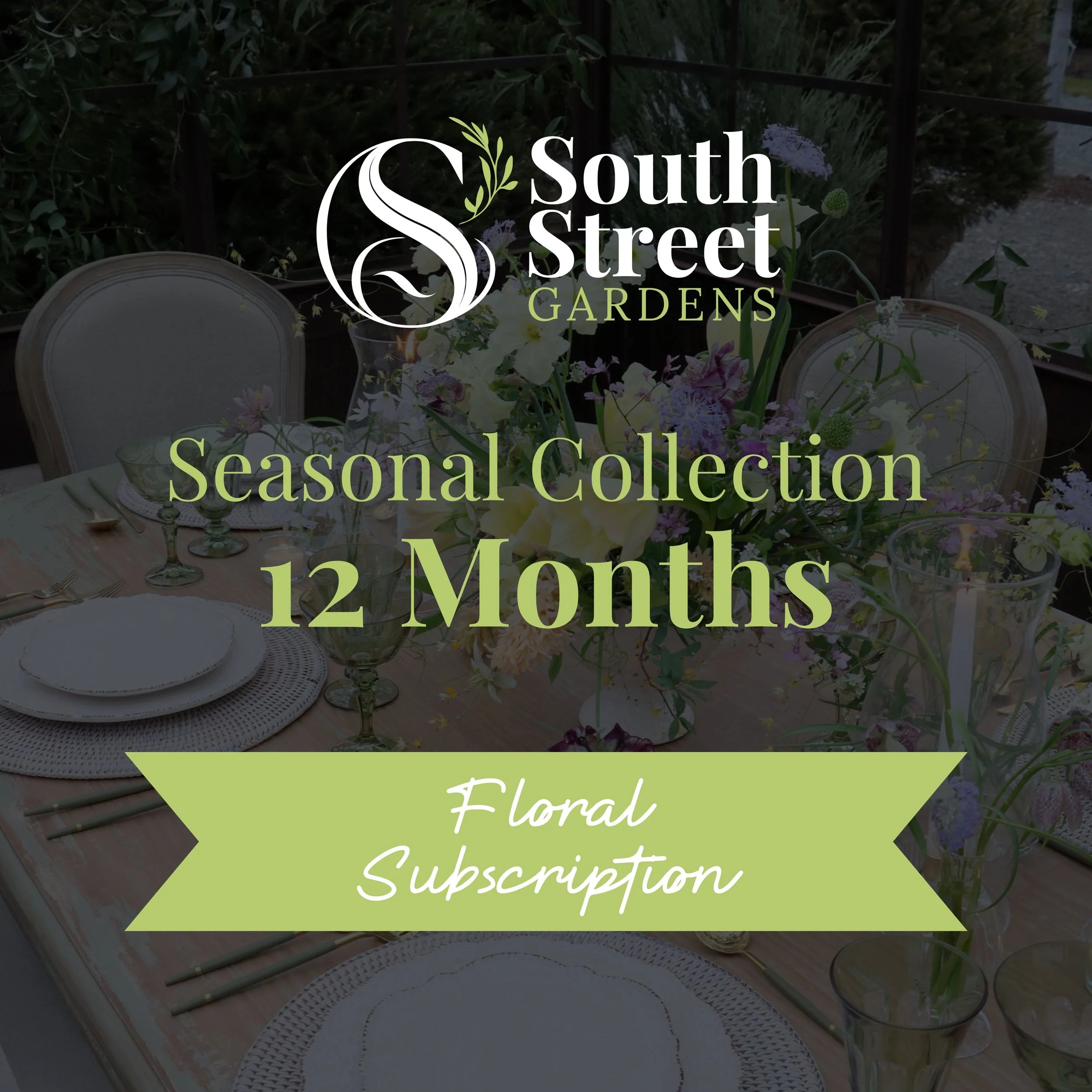 Seasonal Collection, 12 Months