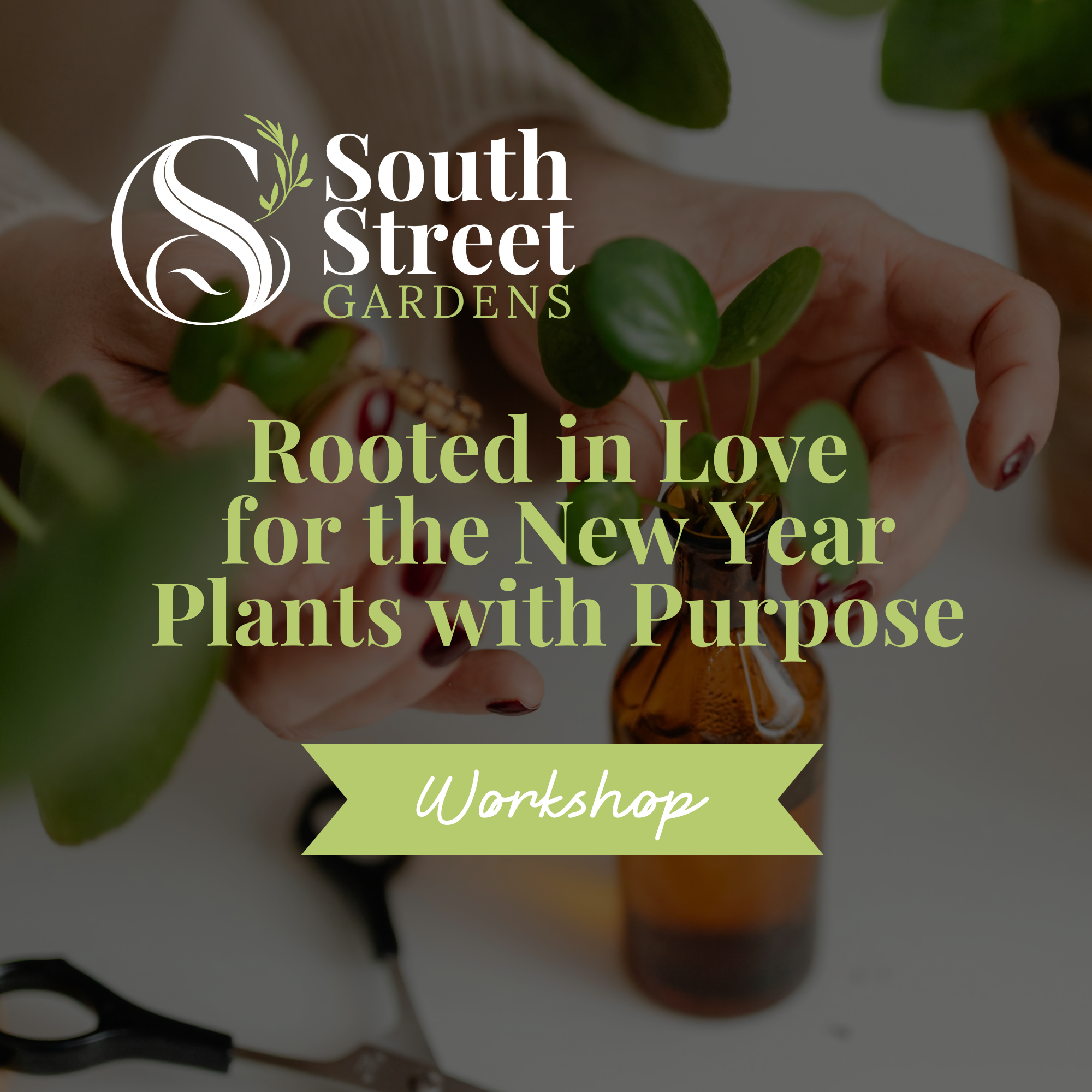 Rooted in Love for the New Year - Plants with Purpose Workshop | Sunday, January 11th, 2026, 11:00 am - 1:00 pm