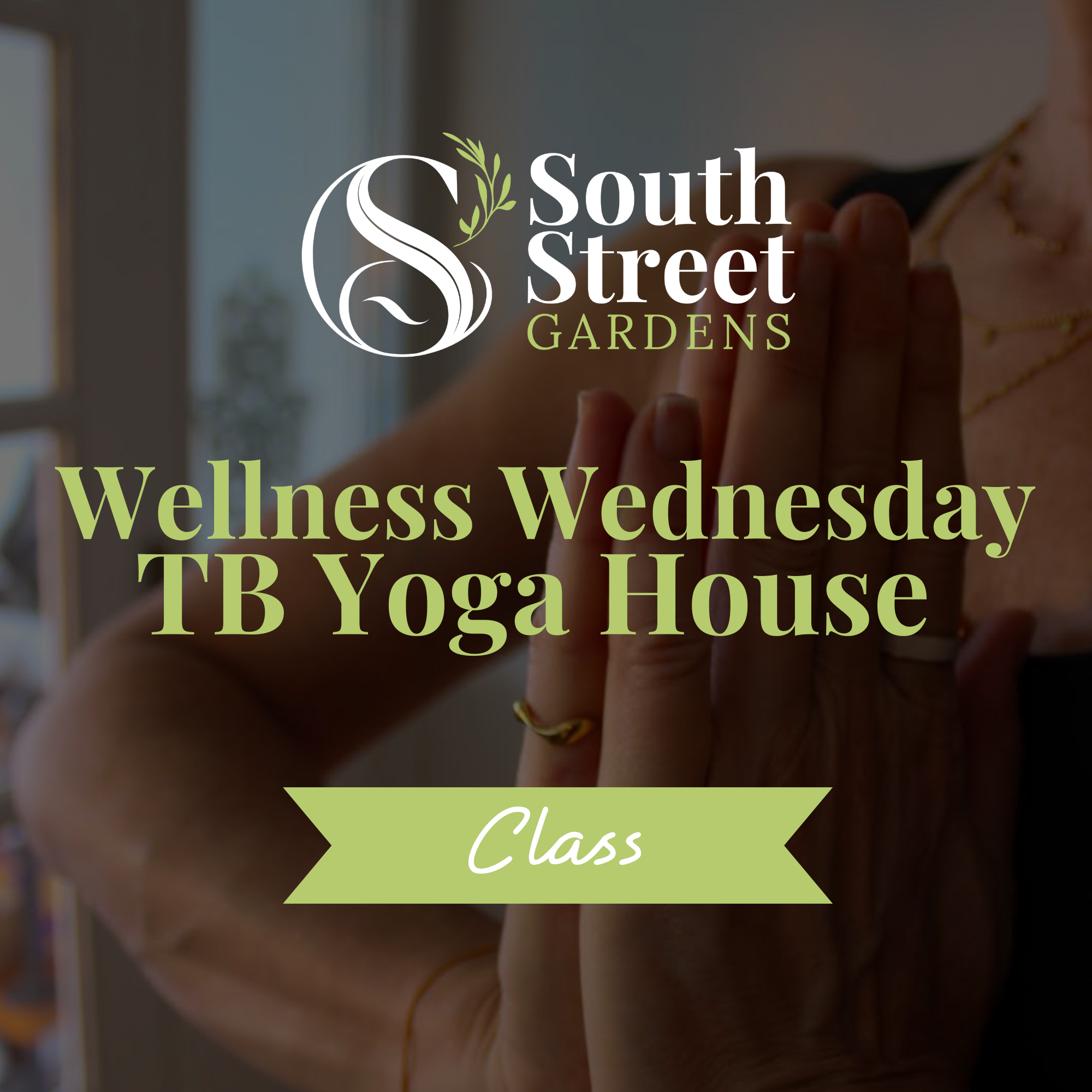 Website WorkshopClass Cover Photos.png