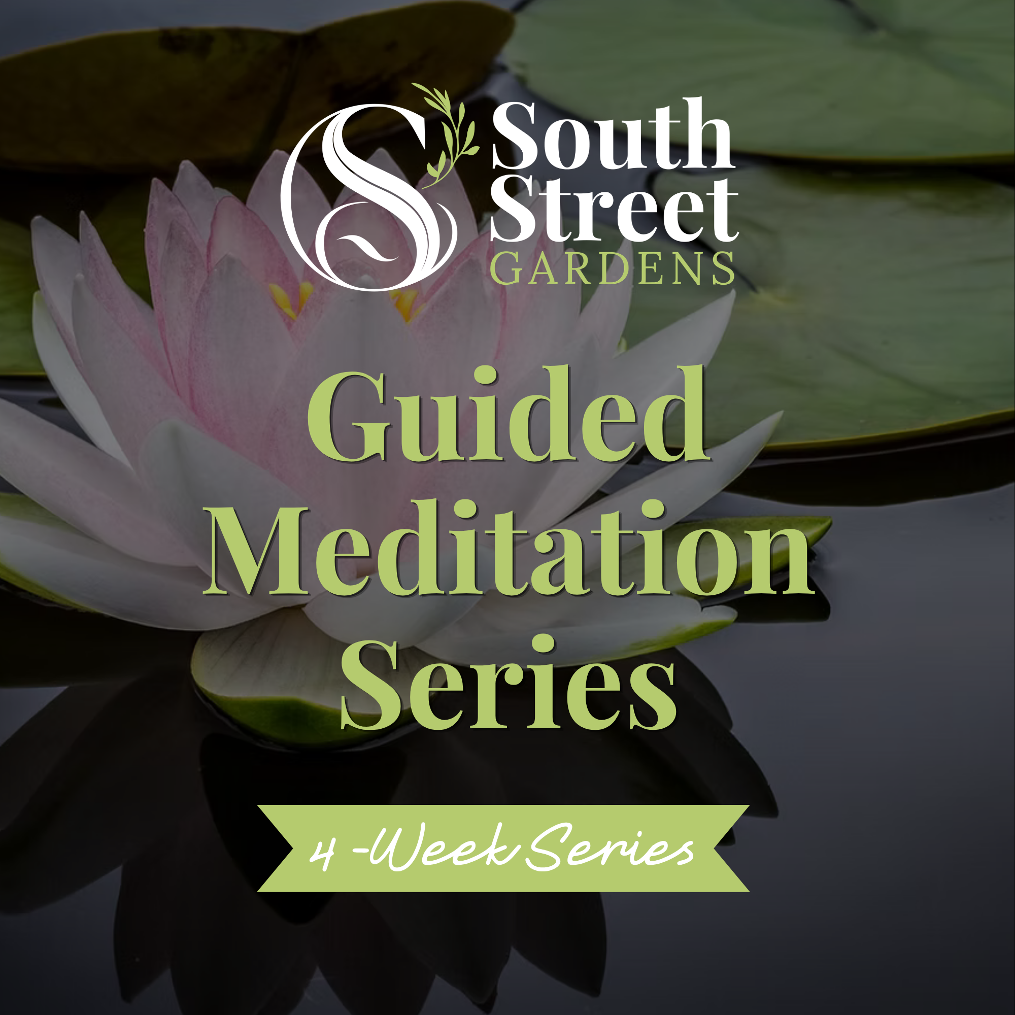 Wellness Series: Meditation Guided Practice 4 Week Series -October 27 through November 17, 6pm-7pm