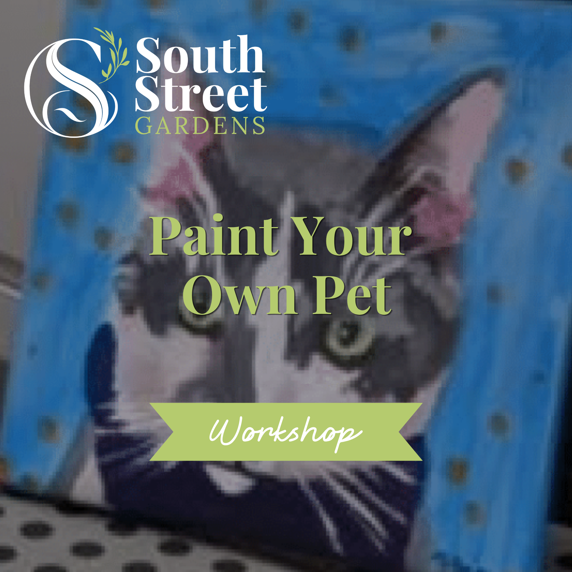 Cat's Copy of Website WorkshopClass Cover Photos (7).png