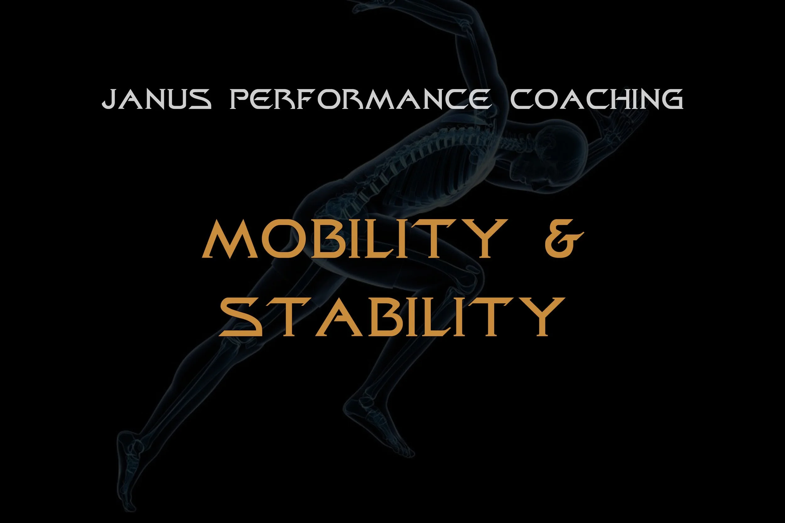 Mobility and Stability in Strength and Sport: Finding the Right Balance