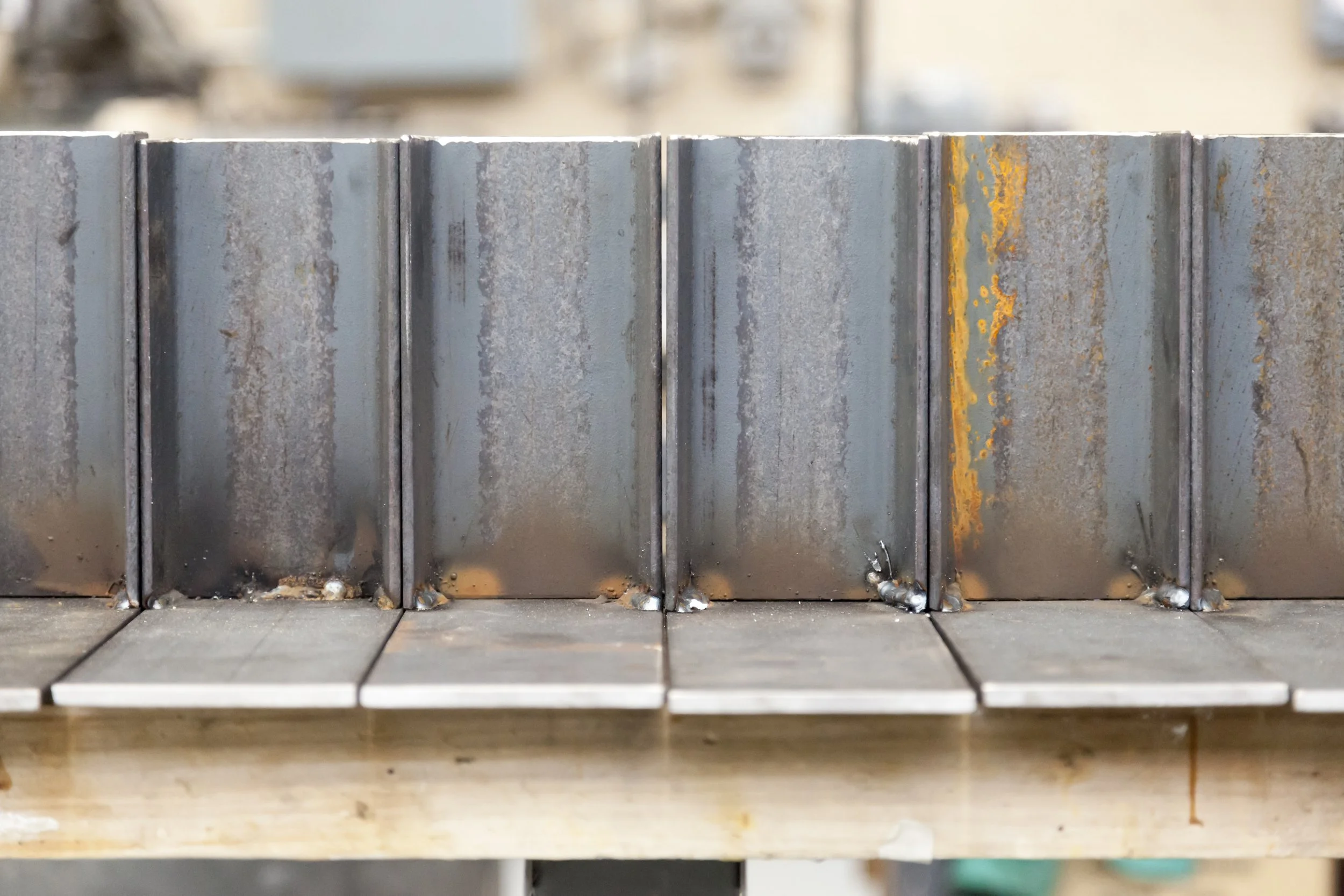 Hermann Hall Garden_SU17_6.JPG