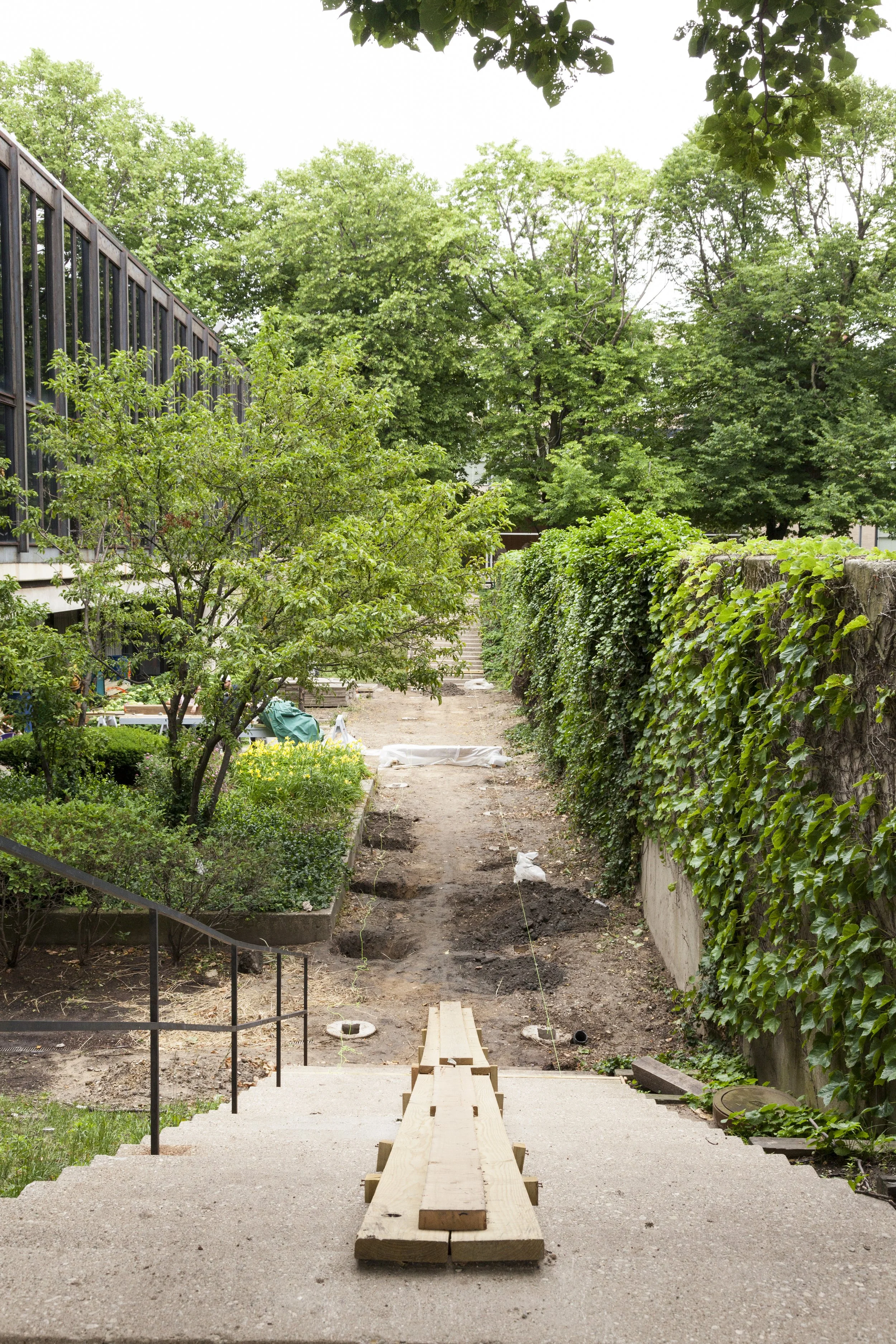 Hermann Hall Garden_SU17_20.JPG