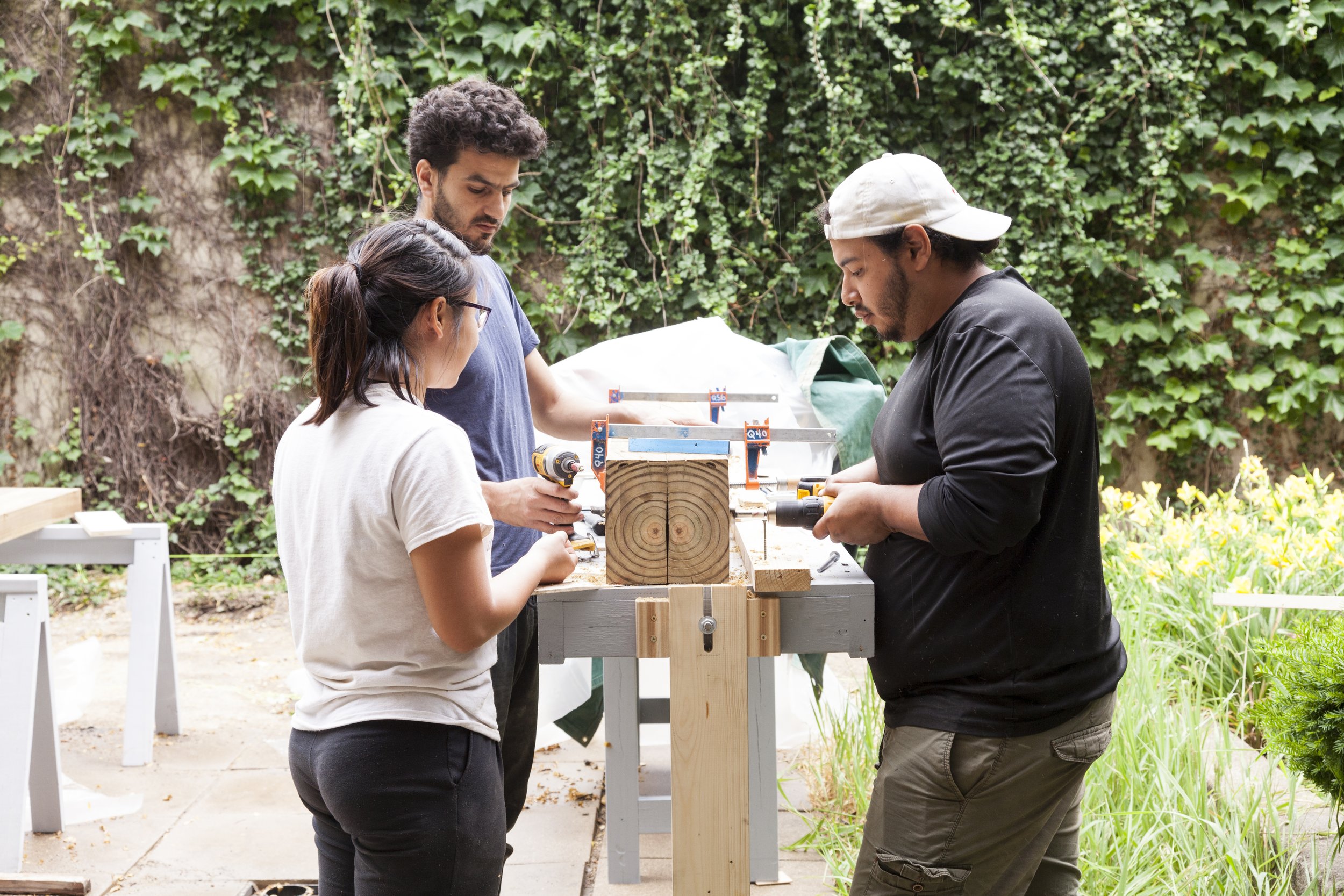 Hermann Hall Garden_SU17_14.JPG