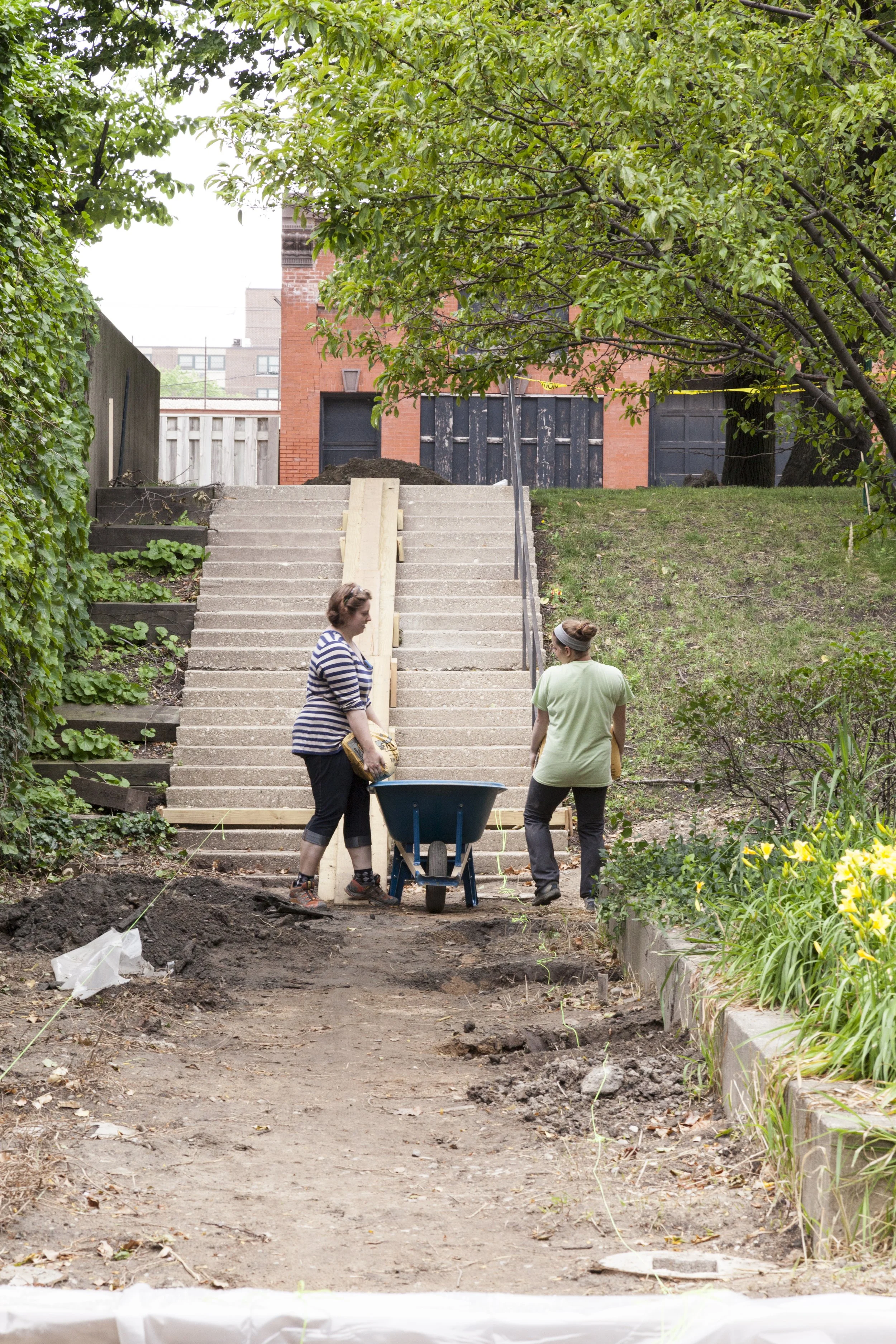 Hermann Hall Garden_SU17_9.JPG