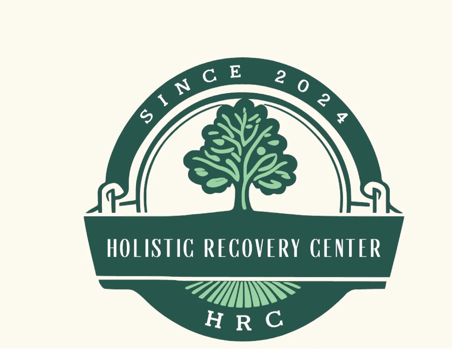 Holistic Sober Center