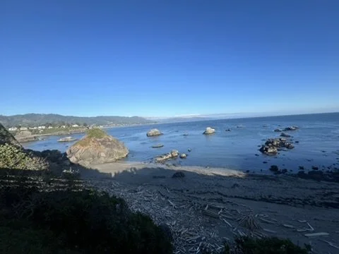 C033D386-B4E0-4A76-9B79-FF749665B8D6_4_5005_c.jpeg
