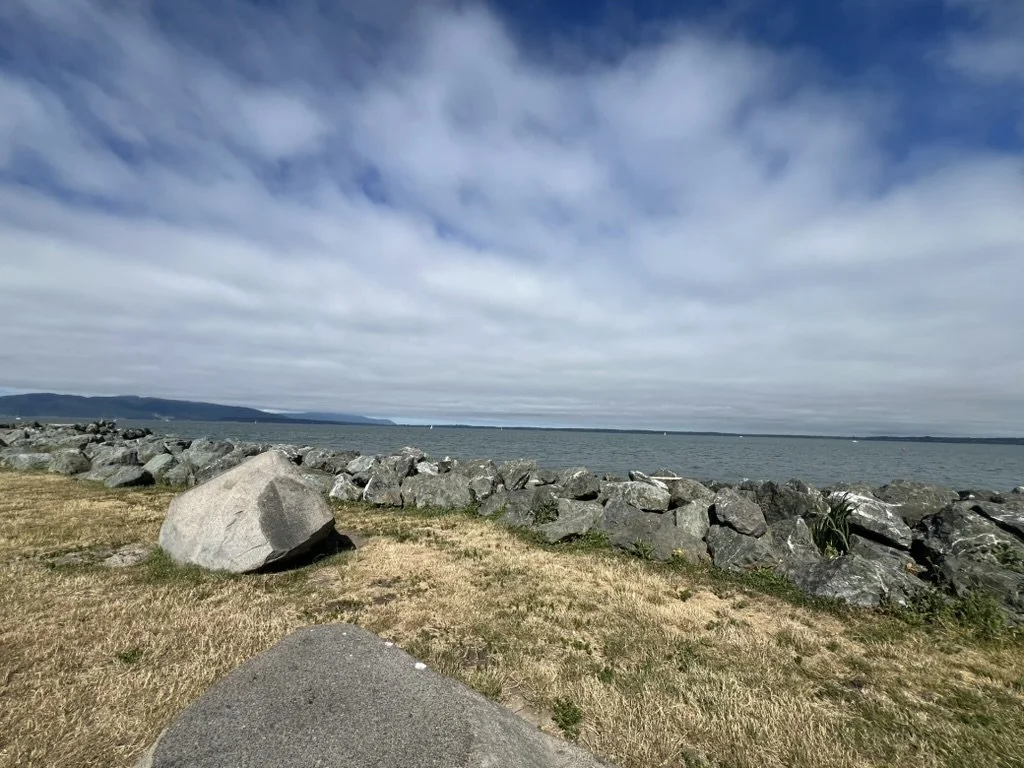 7413E04F-672F-4112-A517-C8E994E07967_1_105_c.jpeg