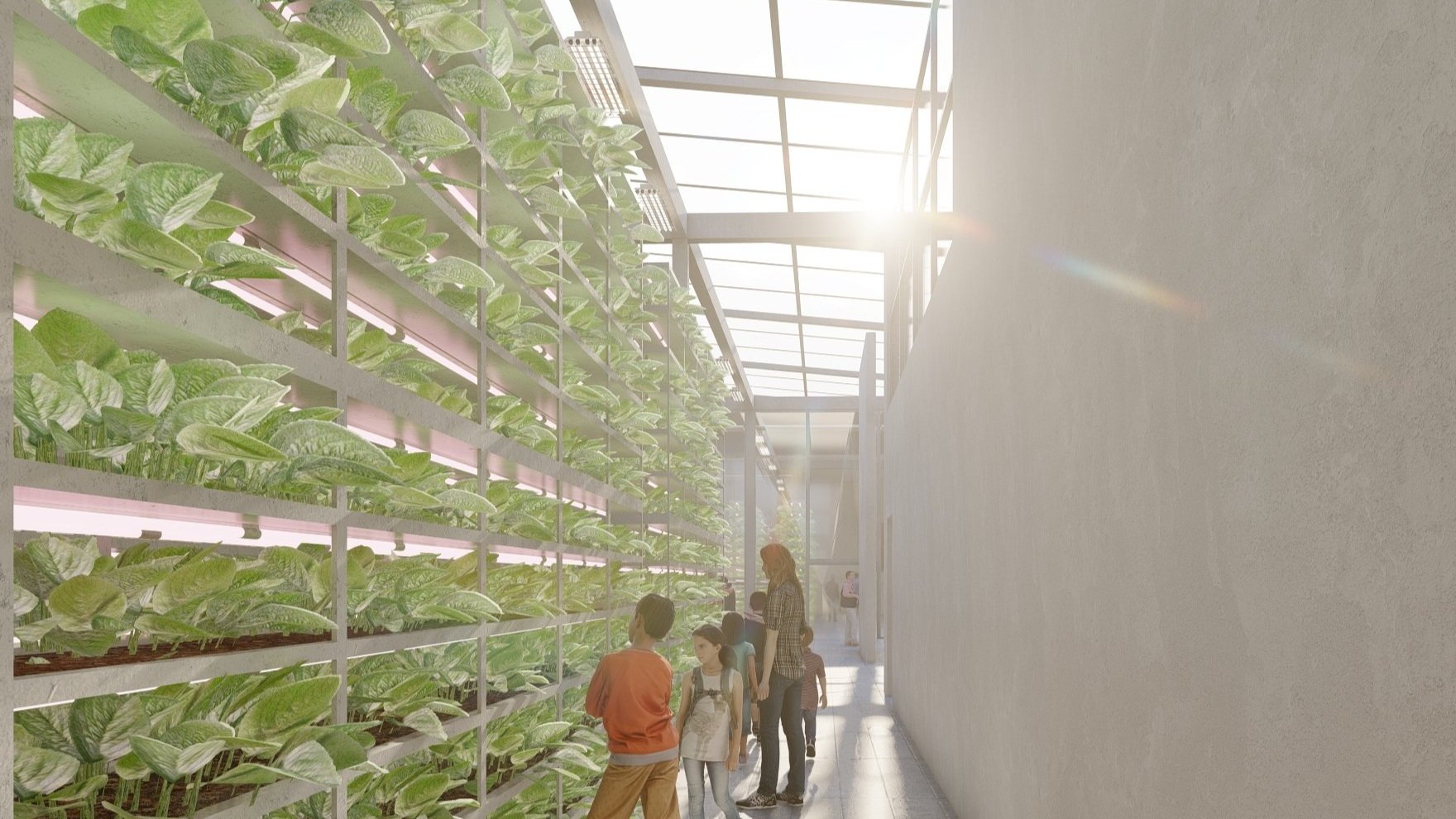 Arch5565_Grow_07_13.jpg