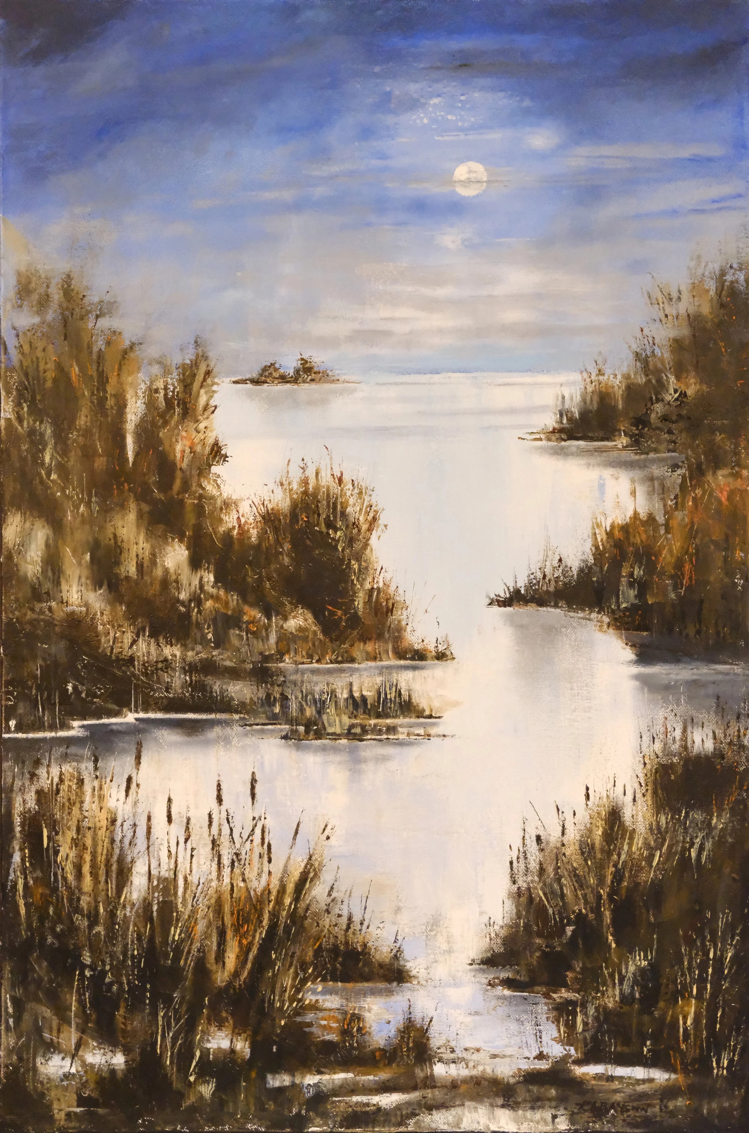 Moonlight Marsh, 50x76cm, For Sale