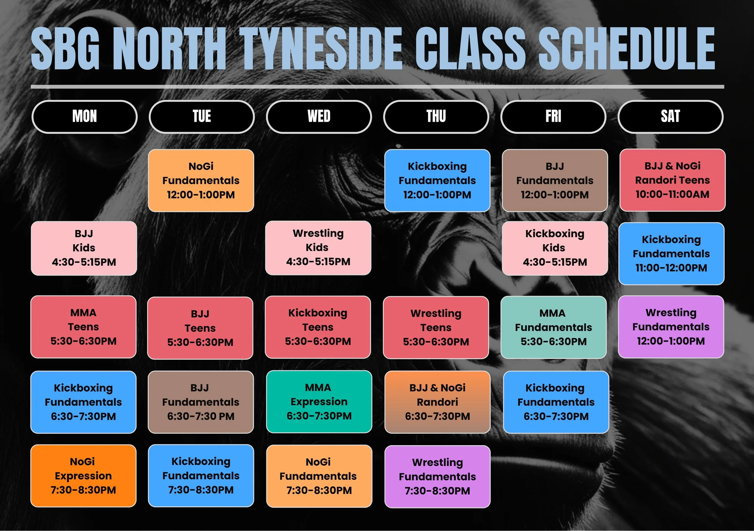 Weekly class schedule for SBG North Tyneside. The schedule includes various martial arts classes such as NoGi Fundamentals, Kickboxing Fundamentals, BJJ, Wrestling Kids and Teens, MMA Teens, and others, with times listed for each day and class type.