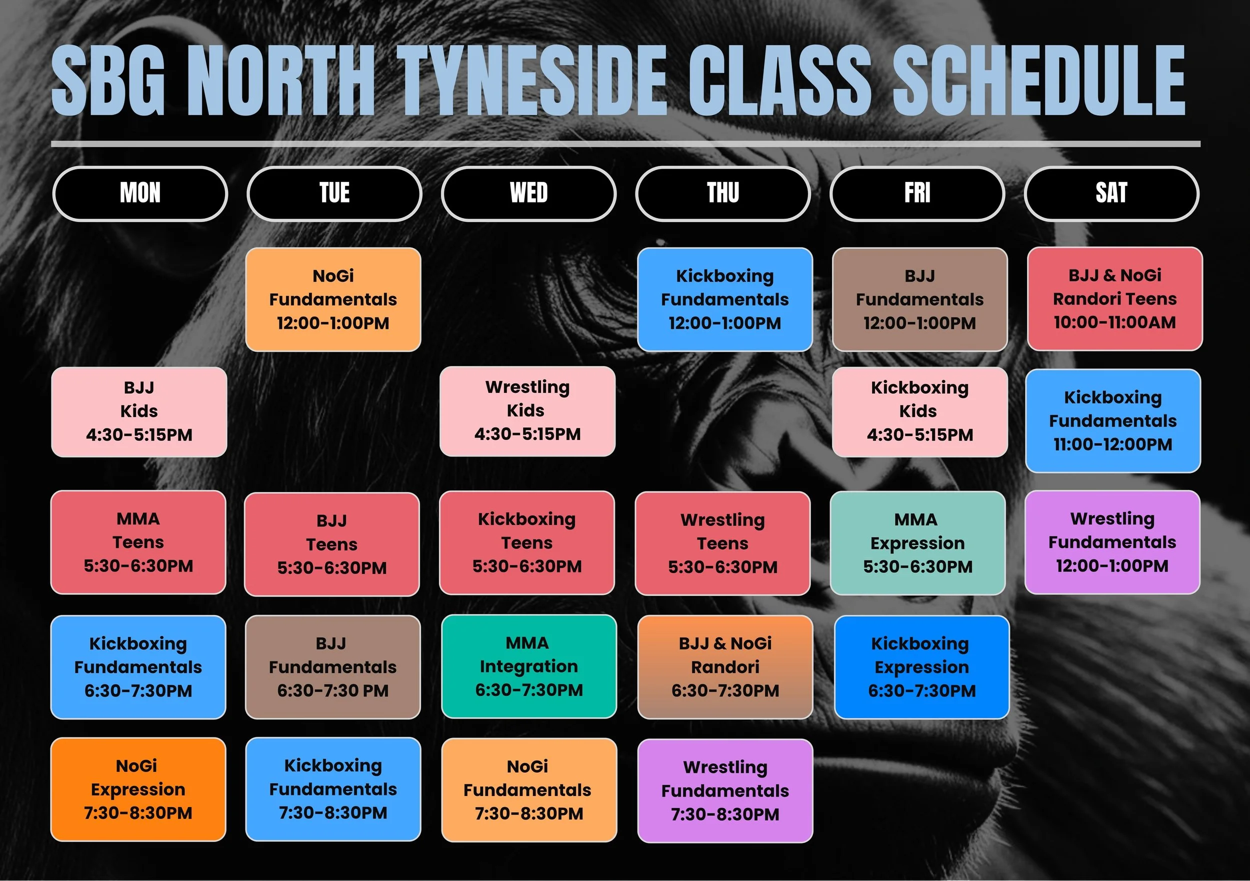 A colorful schedule for SBG North Tyneside classes on a black background featuring a tiger's face. The schedule includes classes such as NoGi Fundamentals, Kickboxing Fundamentals, BJJ Kids, Wrestling Kids, MMA Expression, and others, with various times from morning to evening.