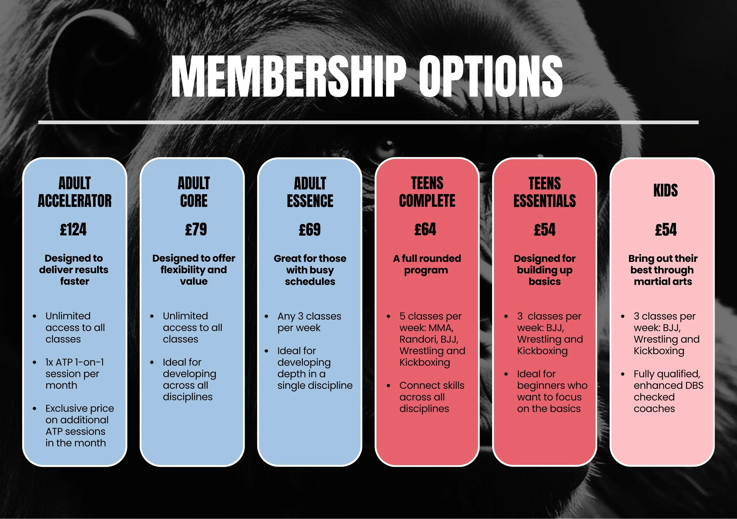 Comparison chart of membership options for a martial arts program, with categories including adult accelerator, adult core, adult essence, teens complete, teens essentials, and kids, outlining features and pricing.