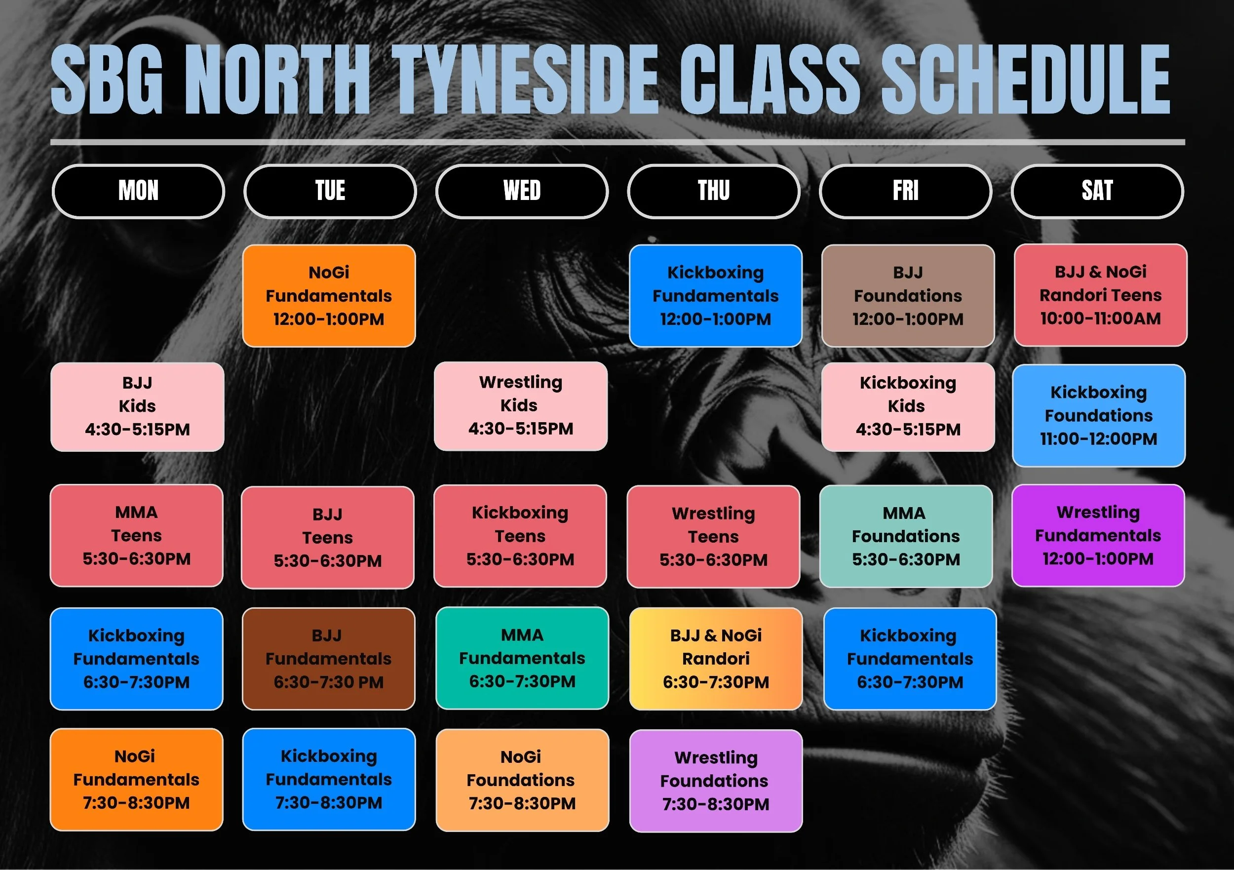 Schedule of classes for SBG North Tyneside, with days from Monday to Saturday. The schedule includes various martial arts classes such as NoGi Fundamentals, BJJ Kids, MMA Teens, Kickboxing Fundamentals, Wrestling Kids, and Randori Teens, each with specific times. The background features a grayscale image of a person's face with long hair.