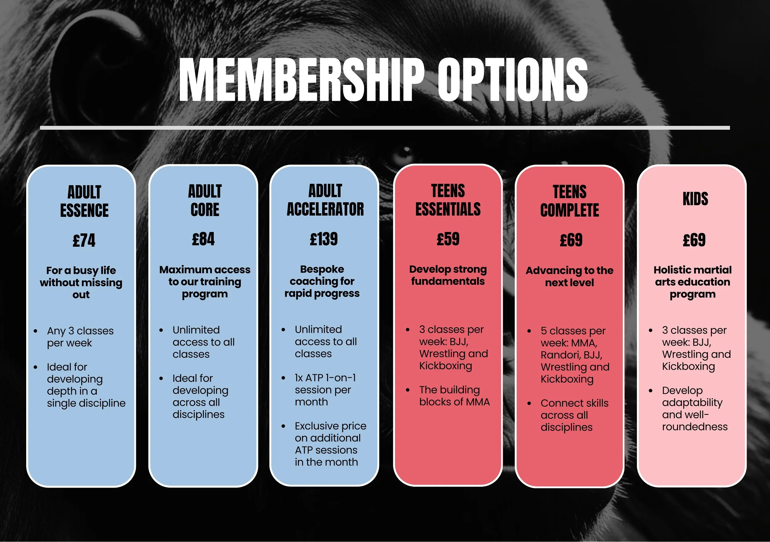 A promotional infographic about martial arts membership options with a background image of a gorilla's face. The infographic has six columns in different colors detailing various membership packages, their prices, and benefits.