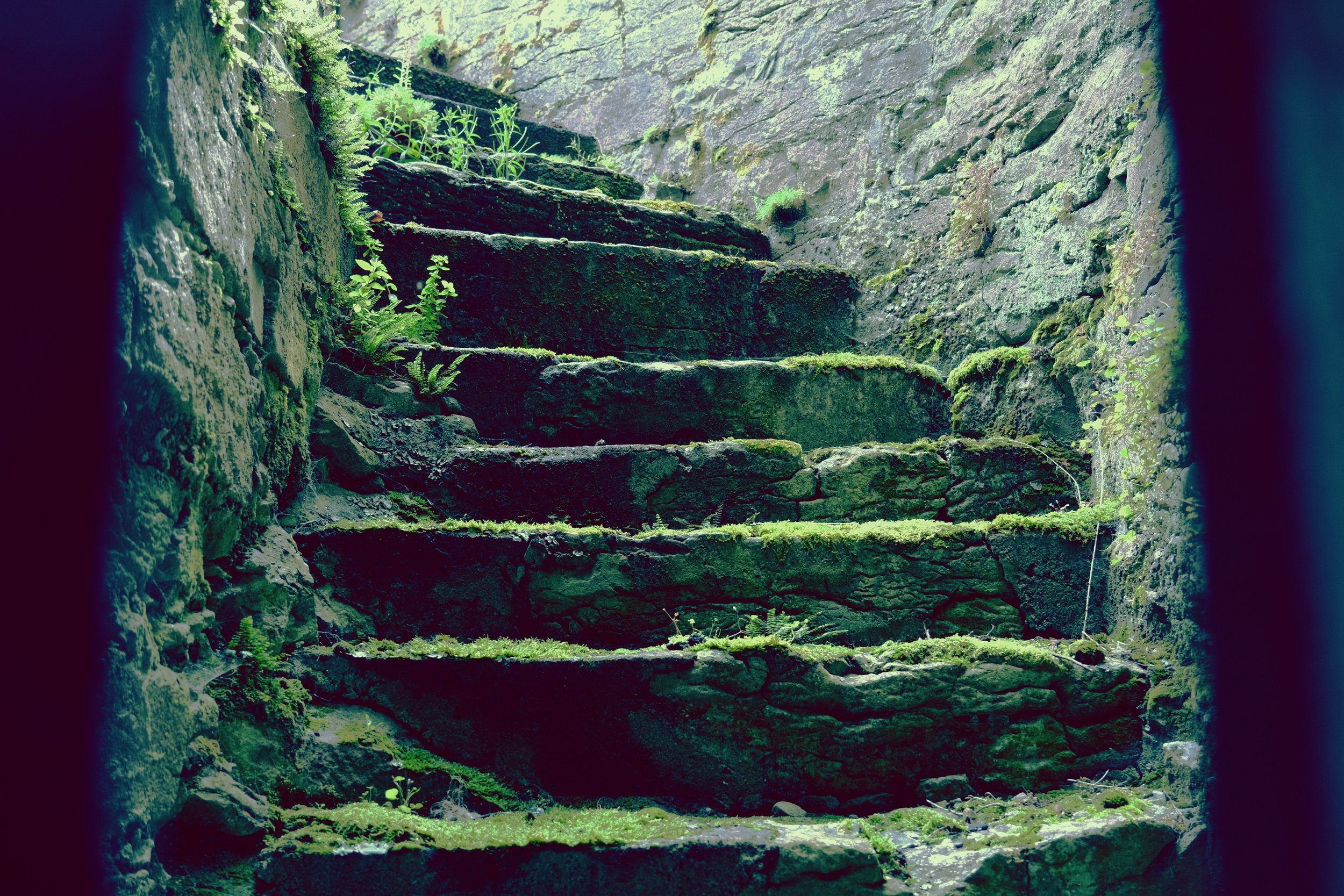 steps.jpeg