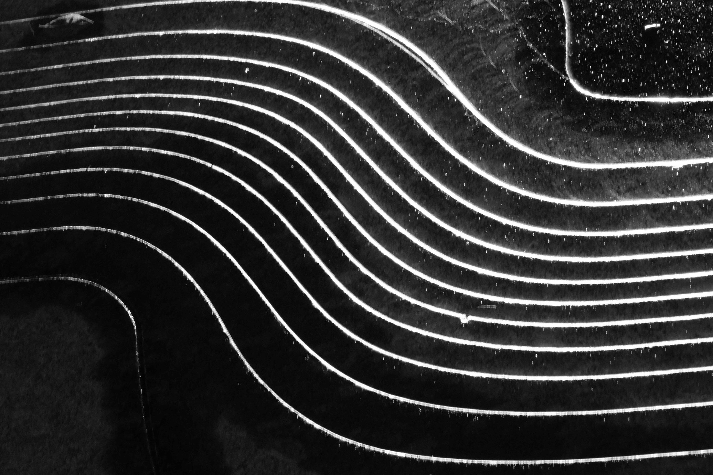 swirl.jpeg