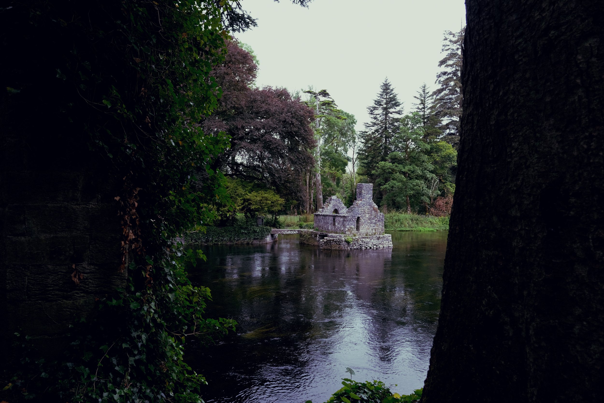 river 1.jpeg