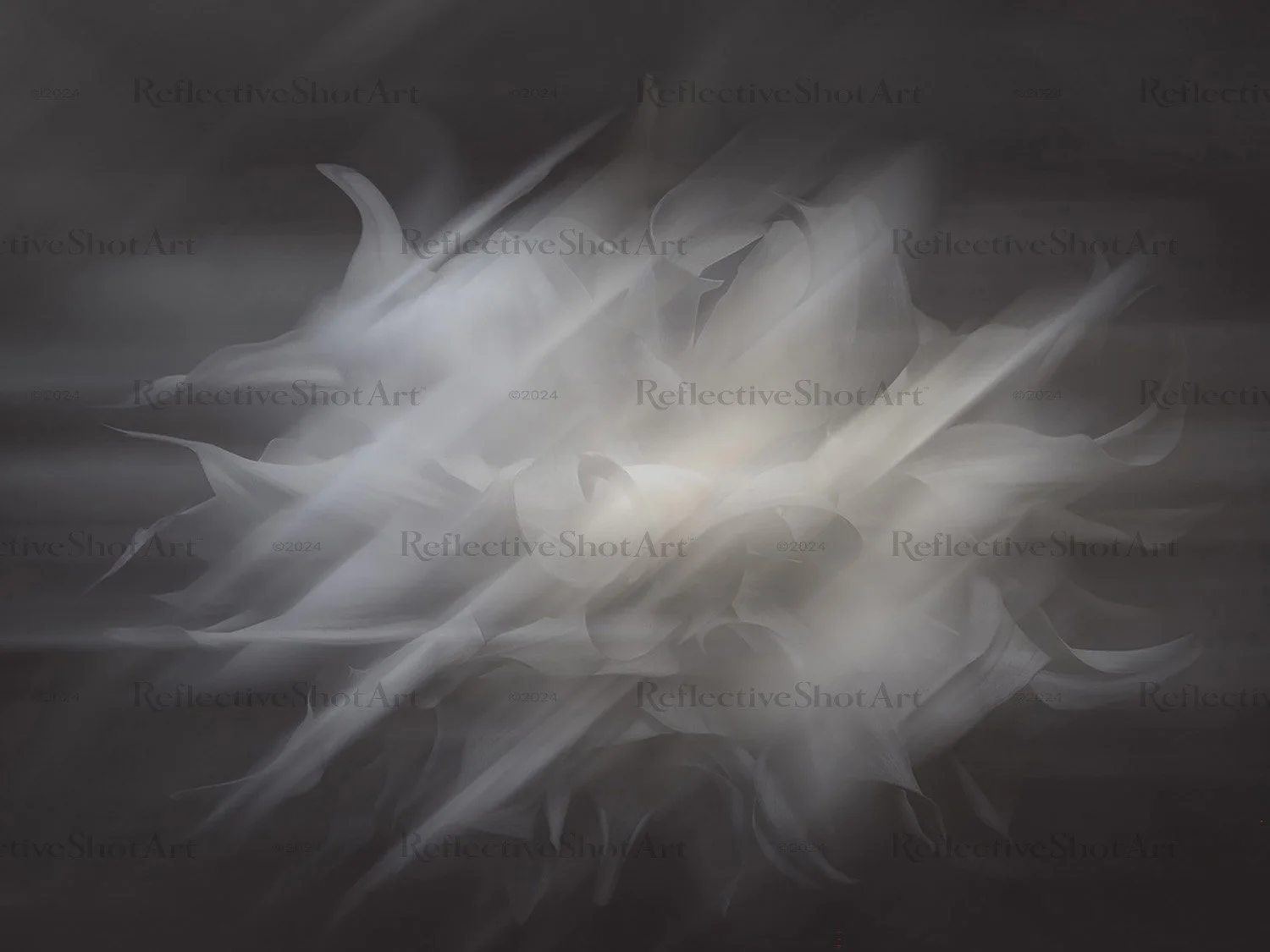 Frilled Galaxy