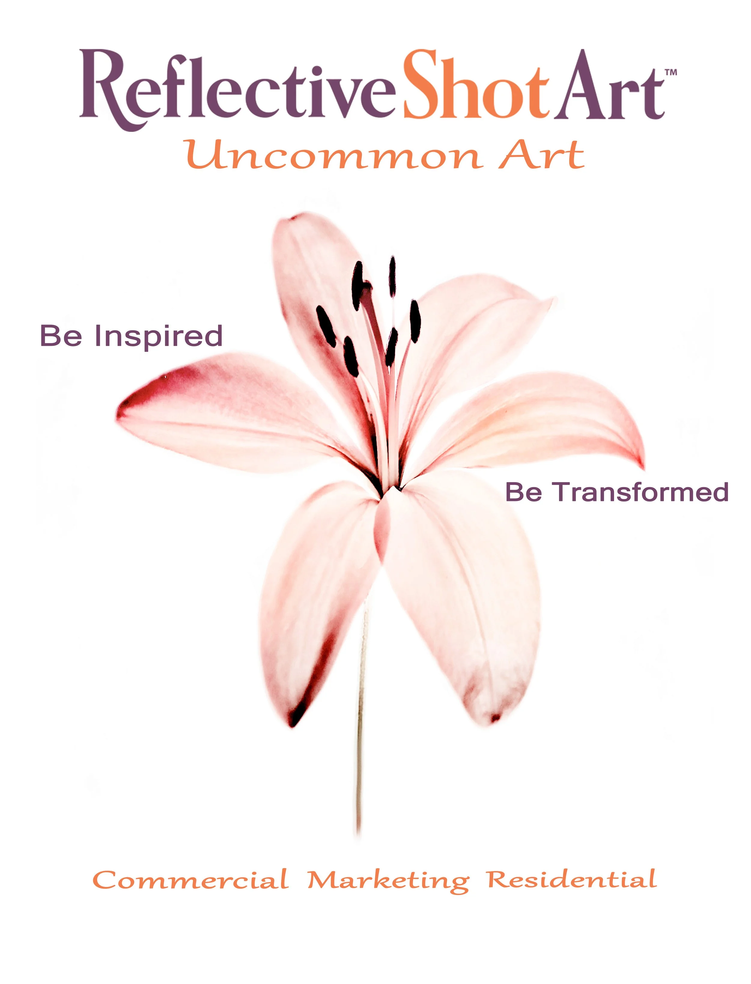 Reflective Shot Art Introduction