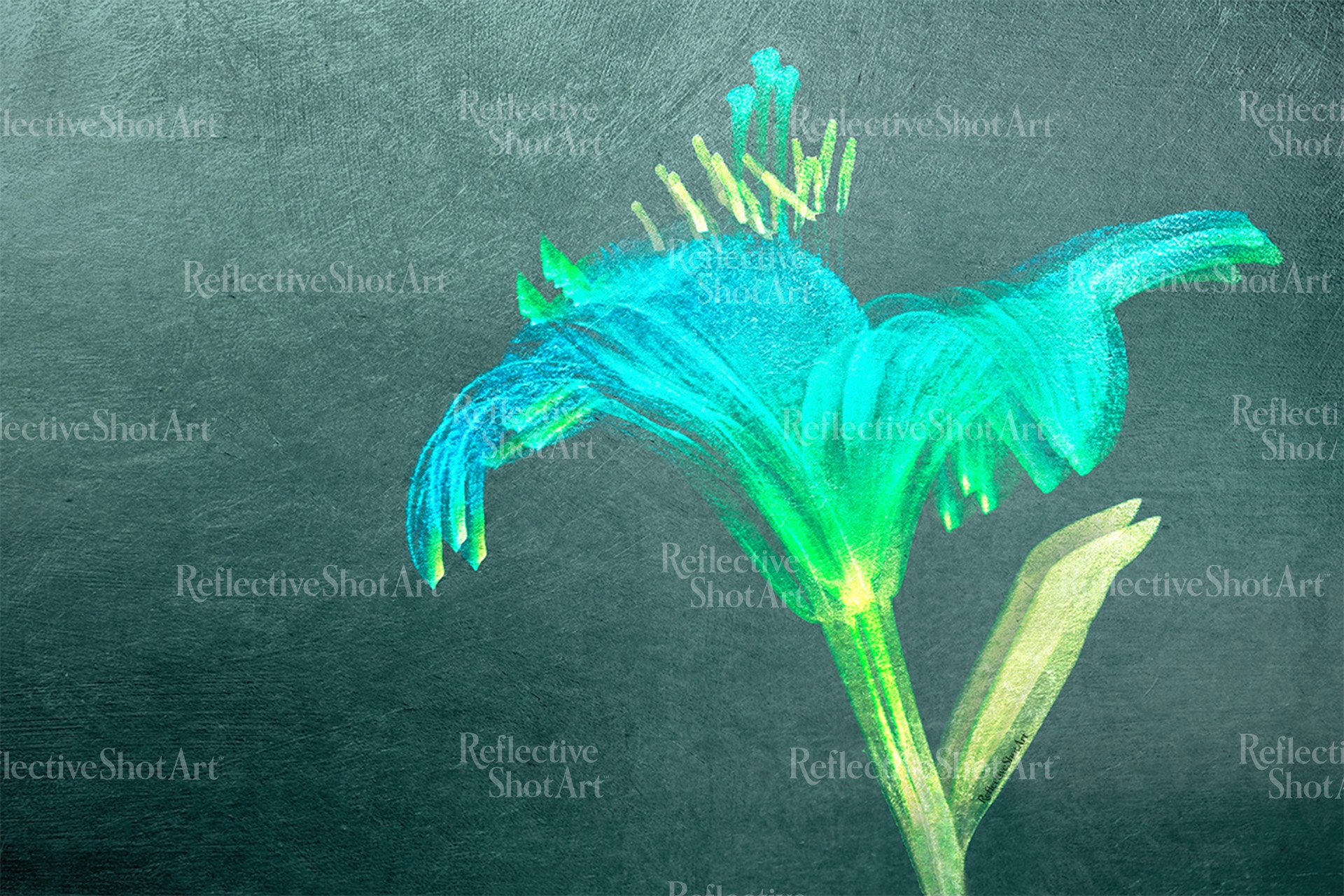 Day Lillies