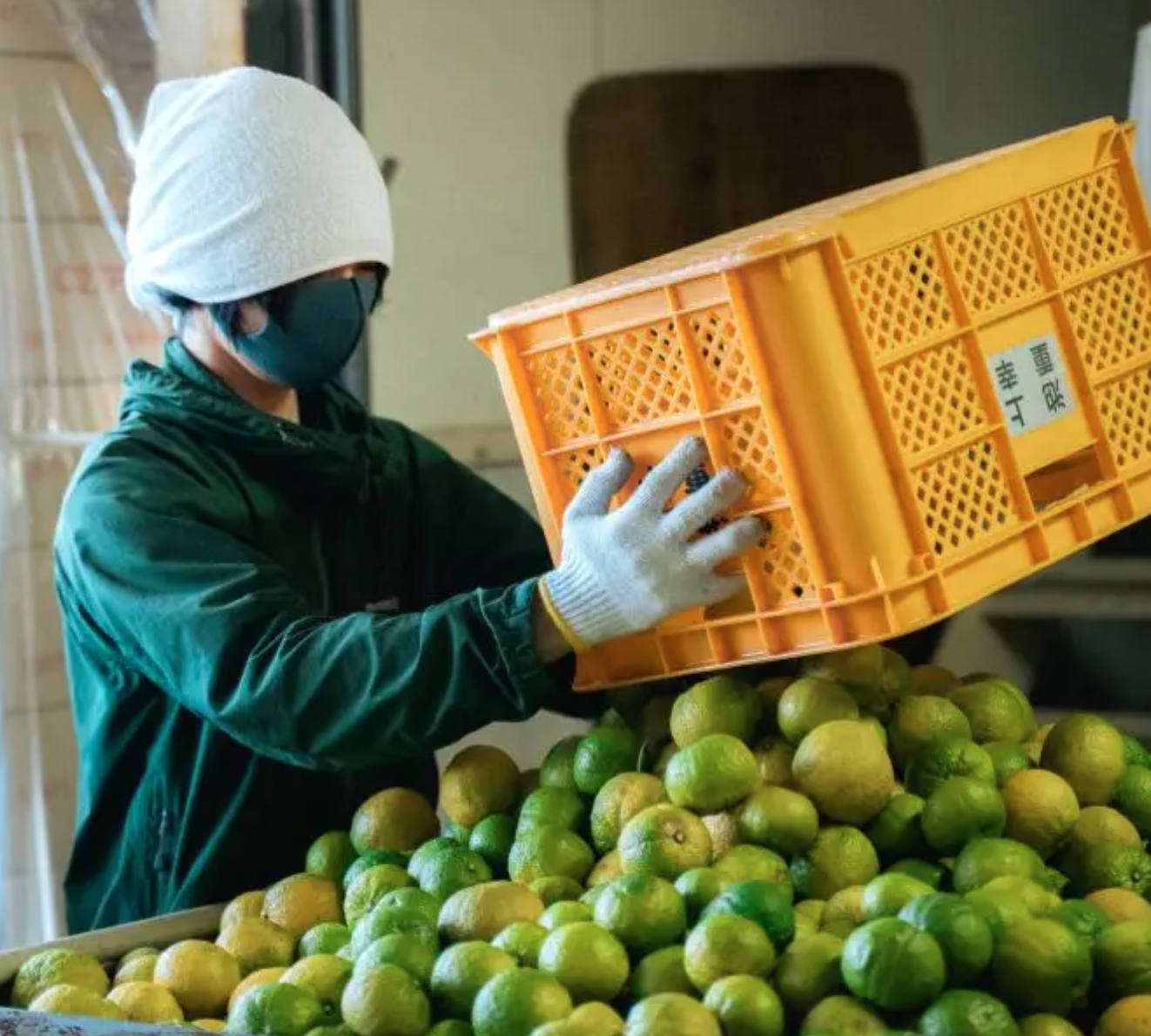 Capture d’écran 2025-09-09 à 6.05.04 PM.png