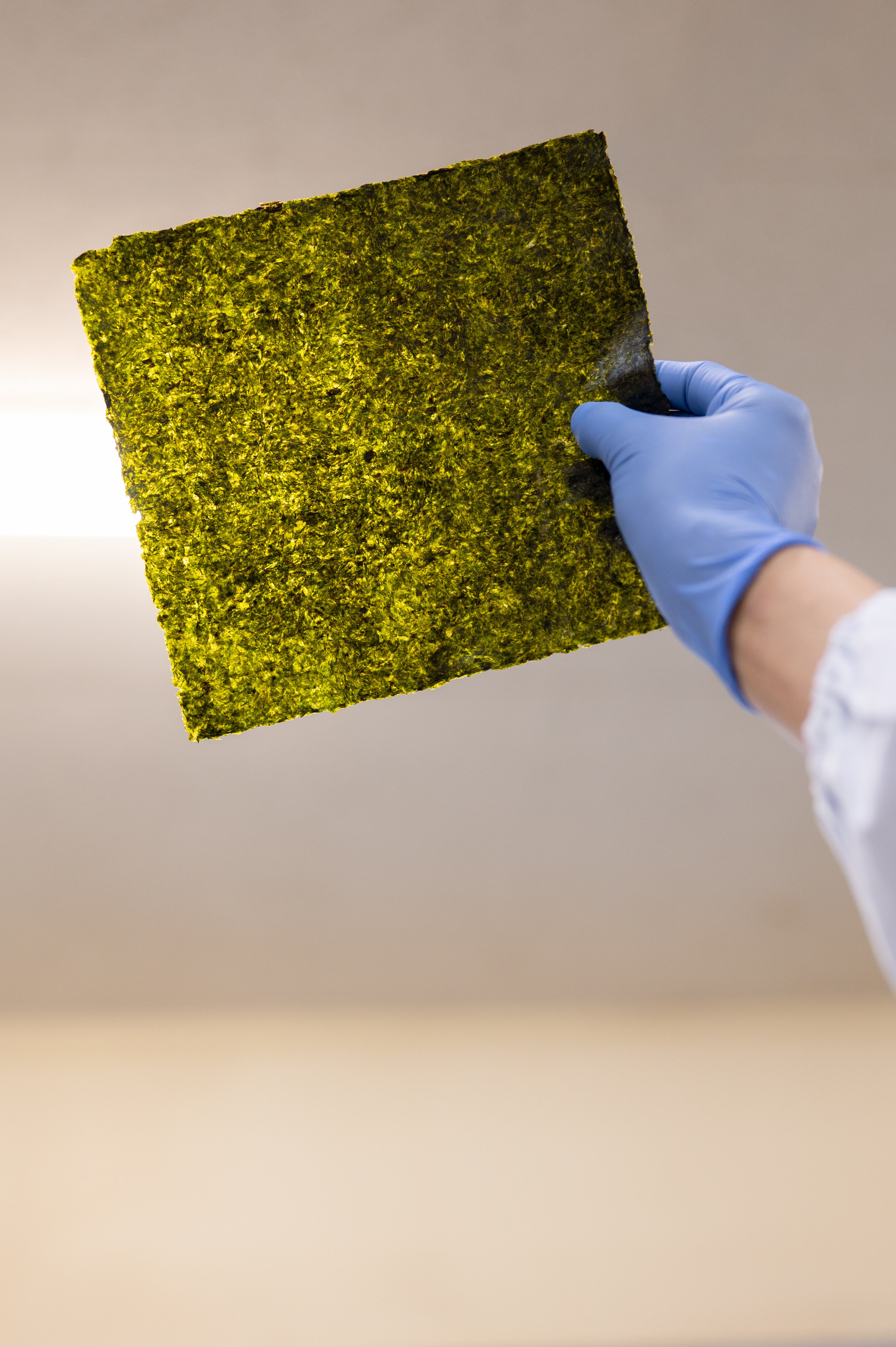 NORI-4.jpg (copie)