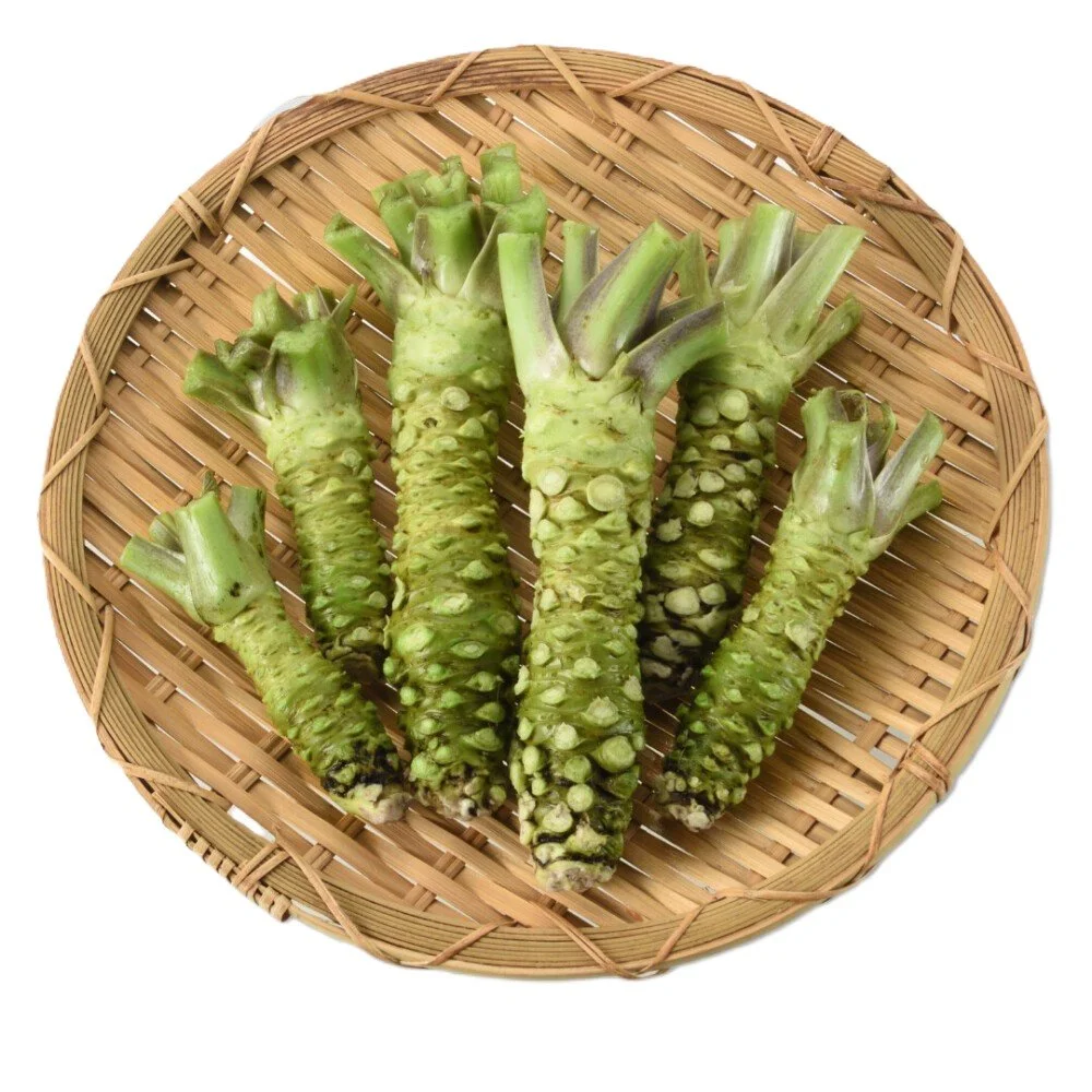 Hisui Top-quality Mazuma Wasabi