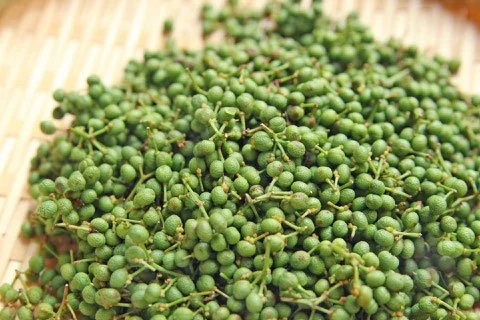 Nakafusa early harvested sansho pepper