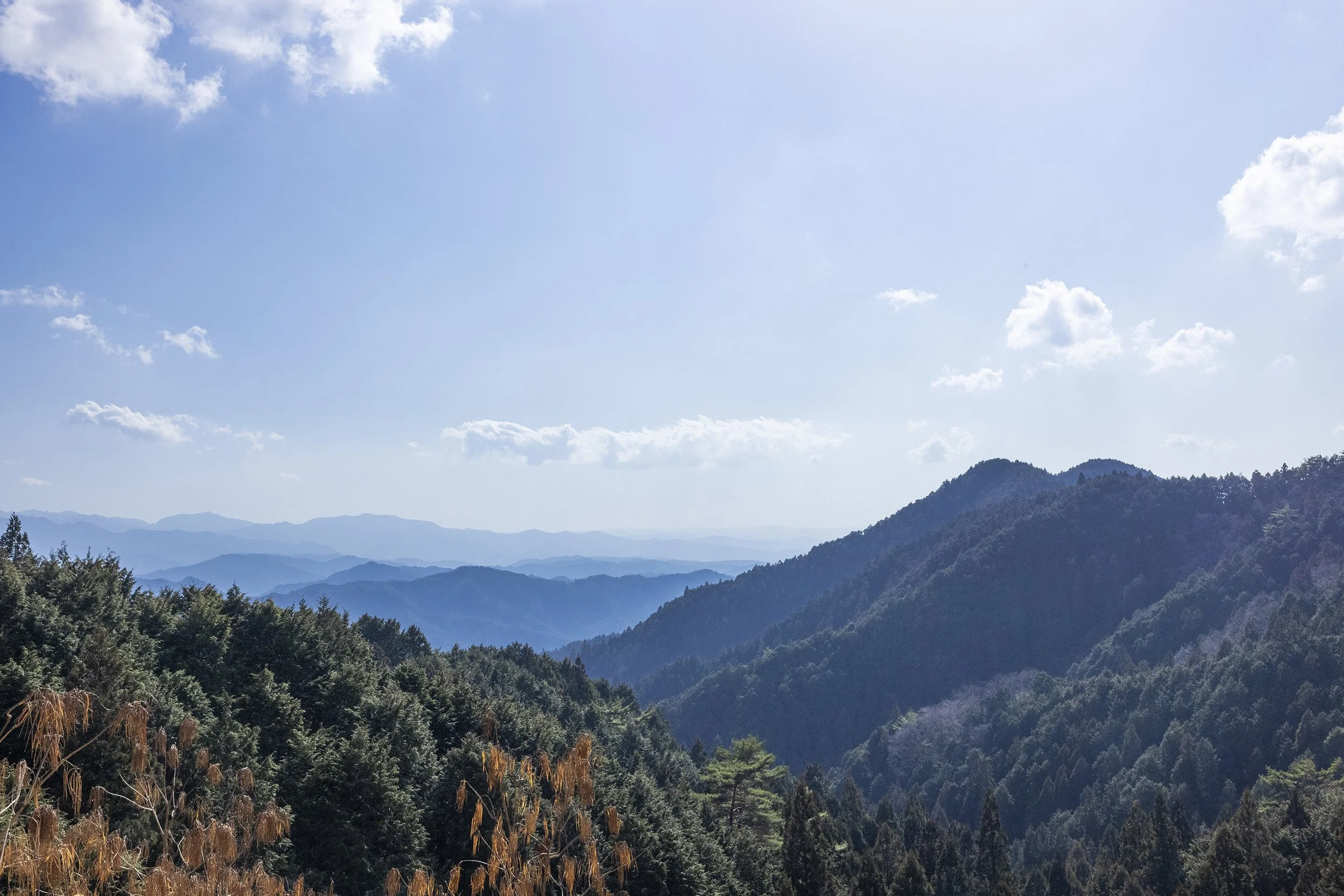 東吉野風景.jpg