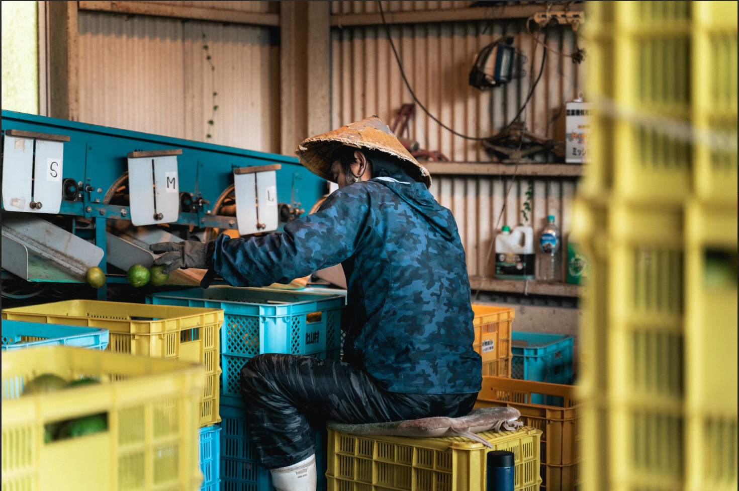 Capture d’écran 2025-09-02 à 4.20.58 PM.png