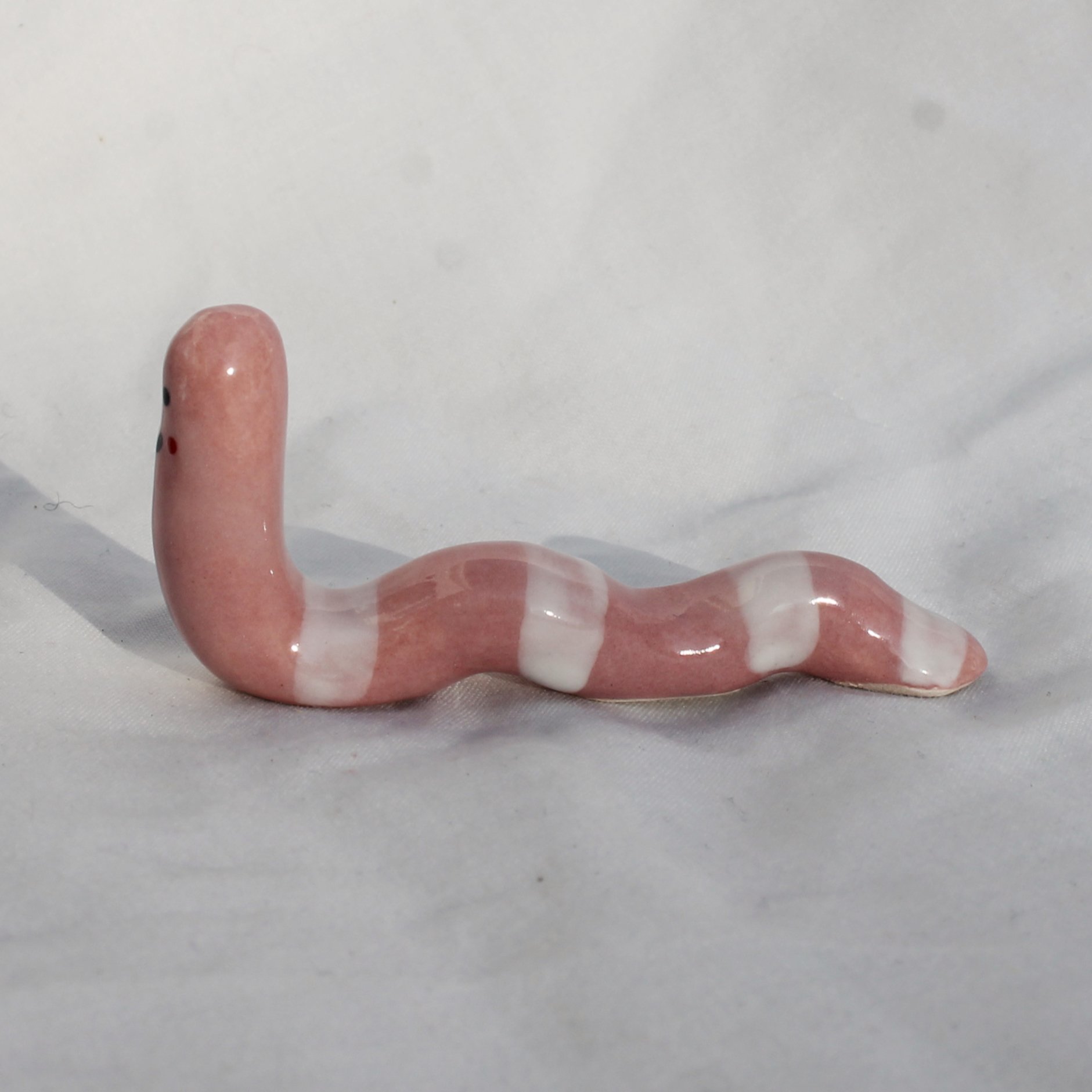 small dusty whitestipe worm 2.jpg