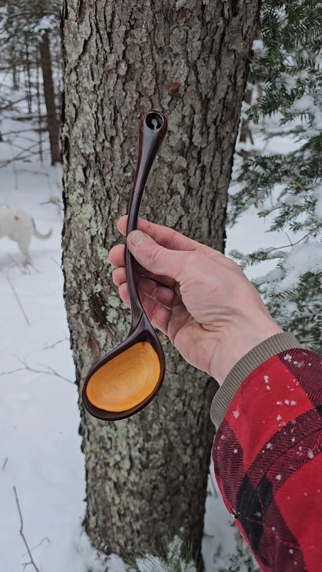 Little serving spoon