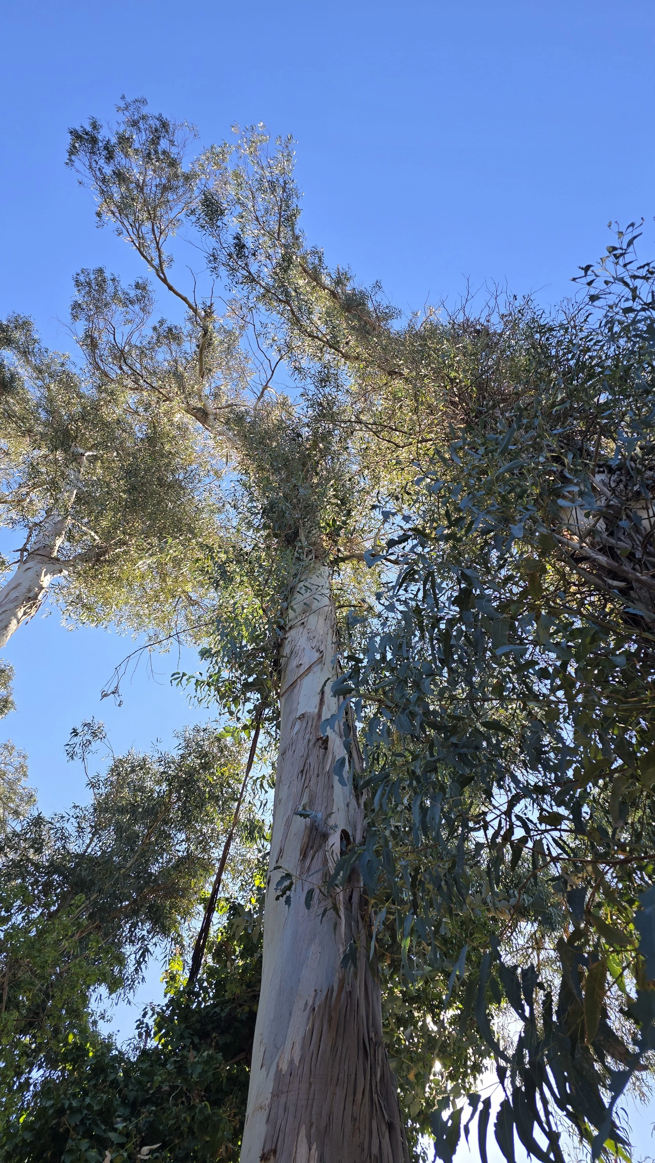 20241014_130827.jpg