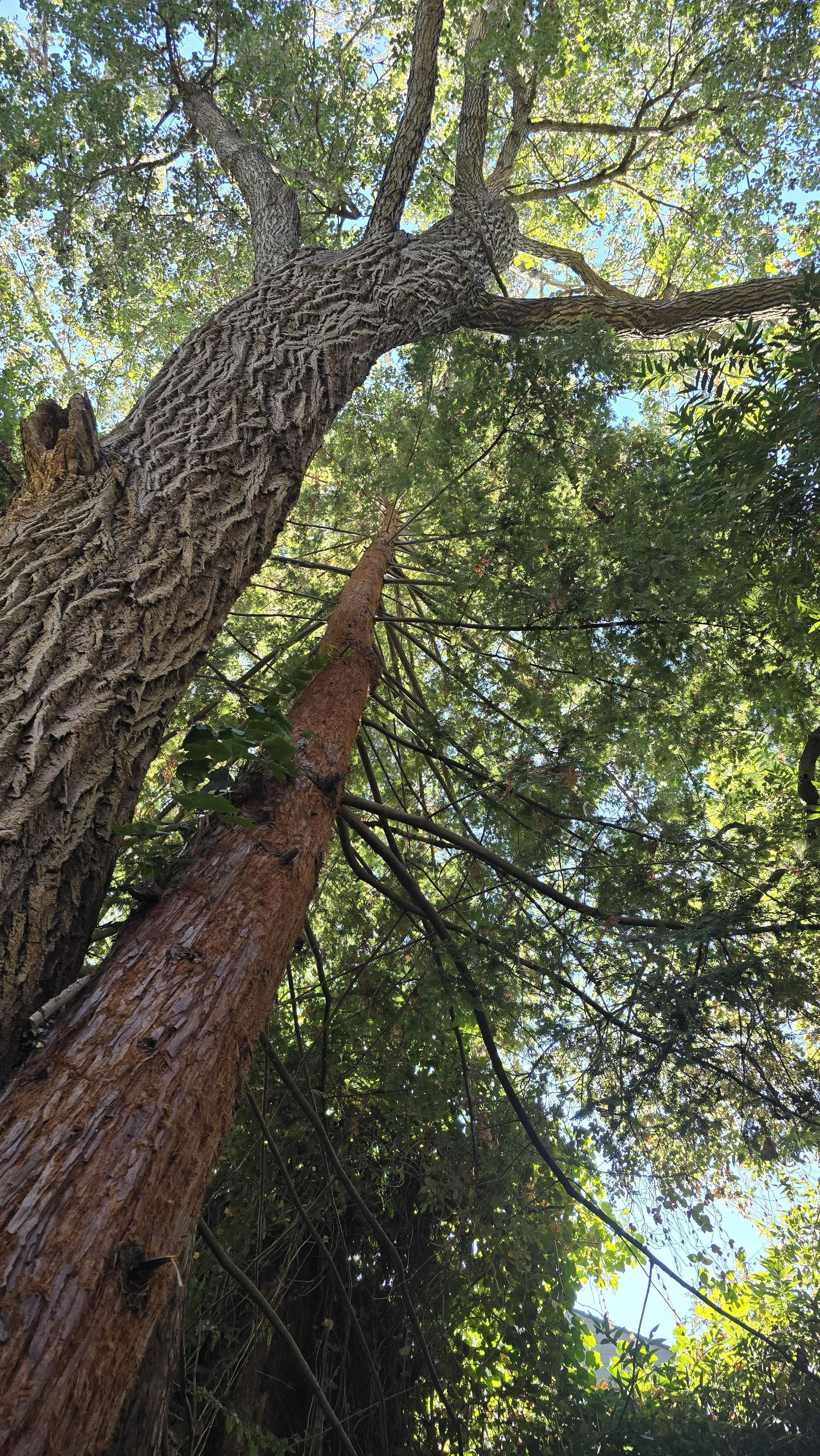 20241014_125810.jpg