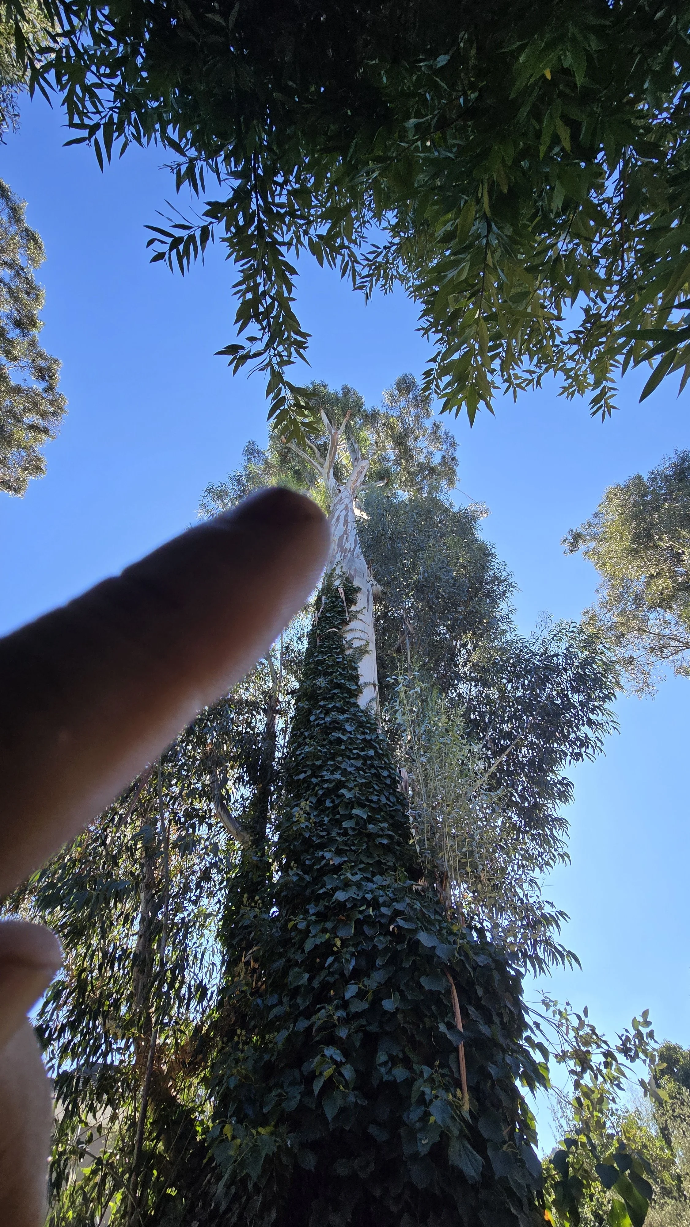 20241014_134037.jpg