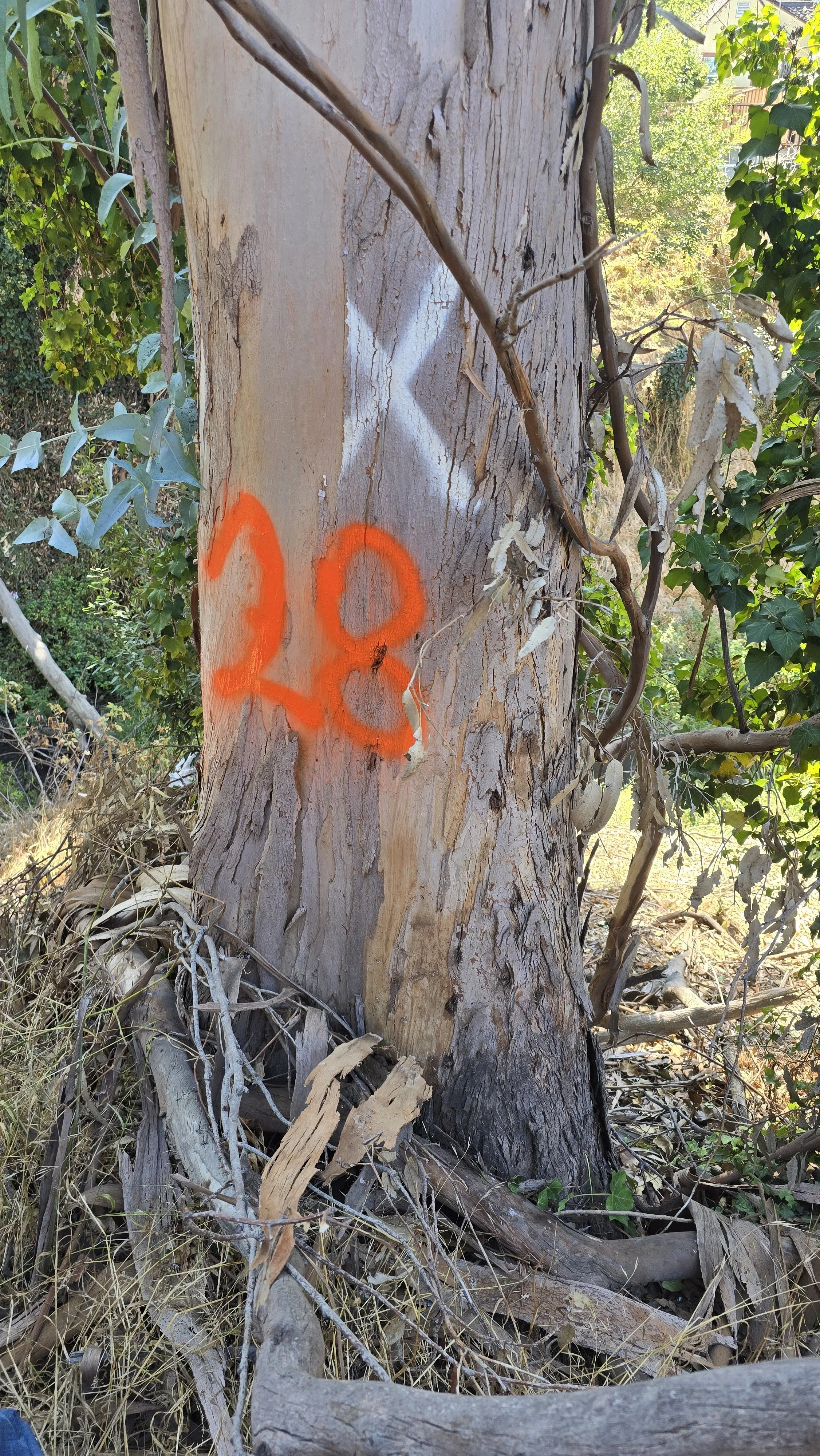 20241014_130835.jpg