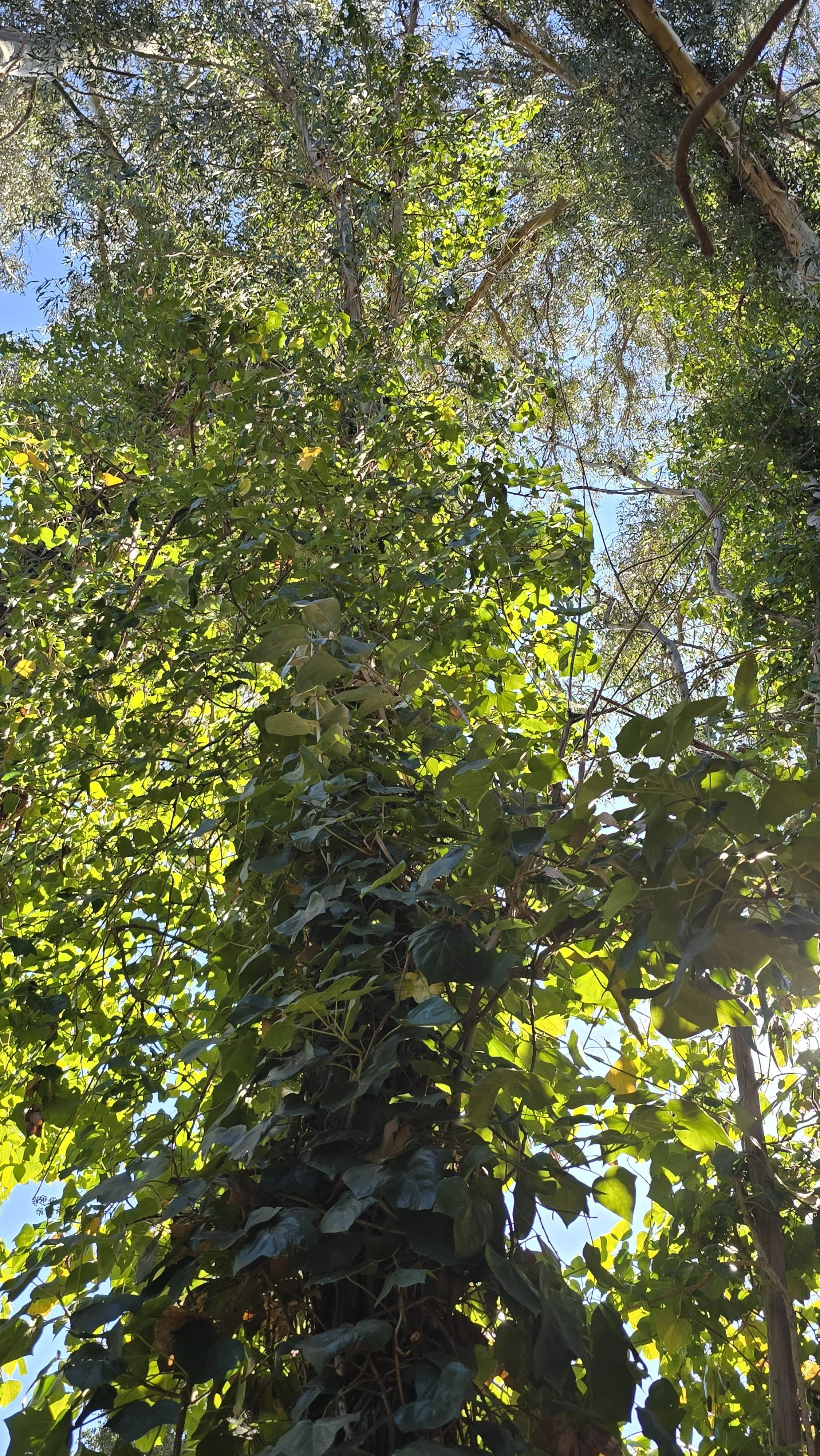 20241014_132328.jpg