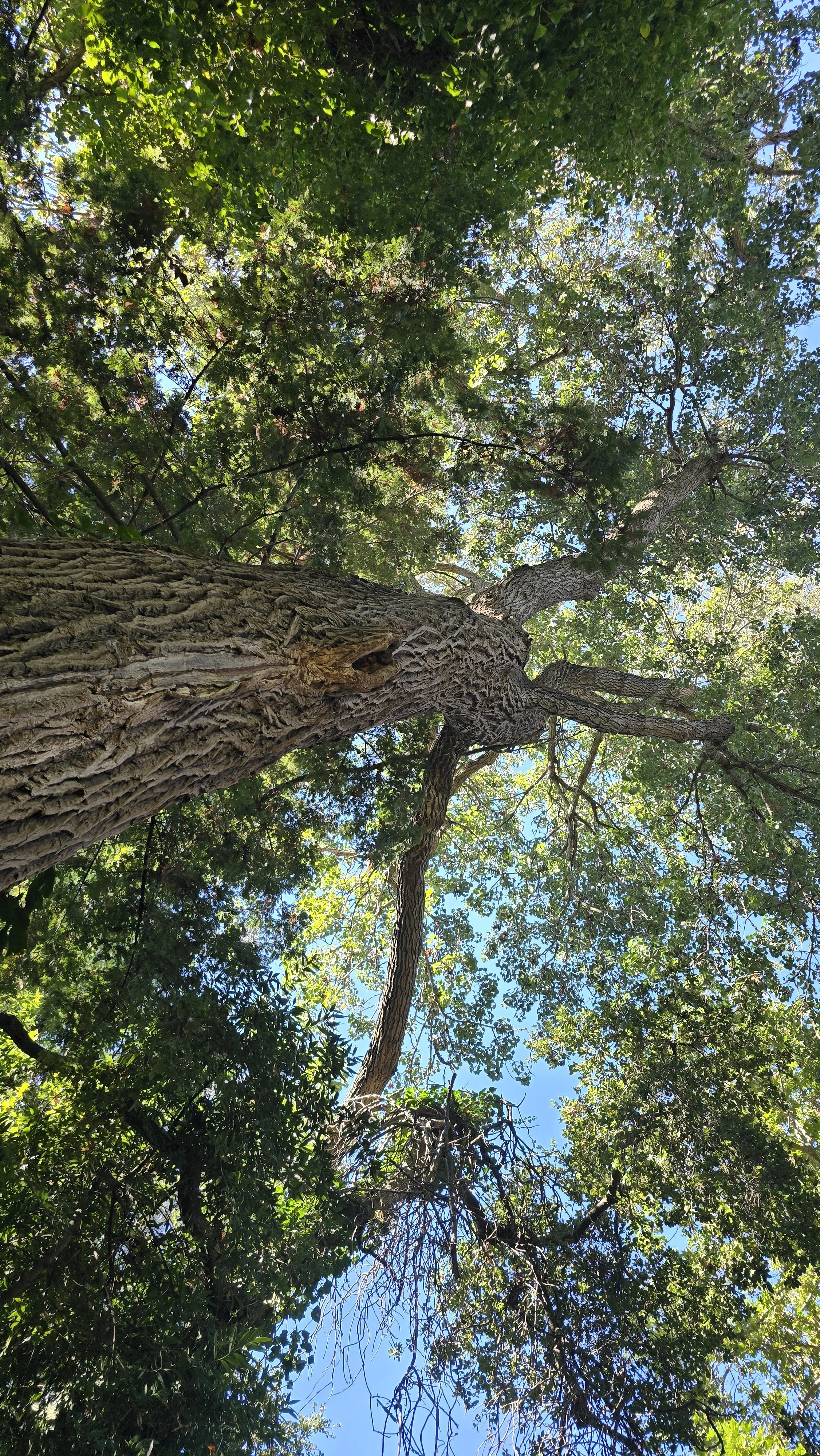 20241014_125801.jpg