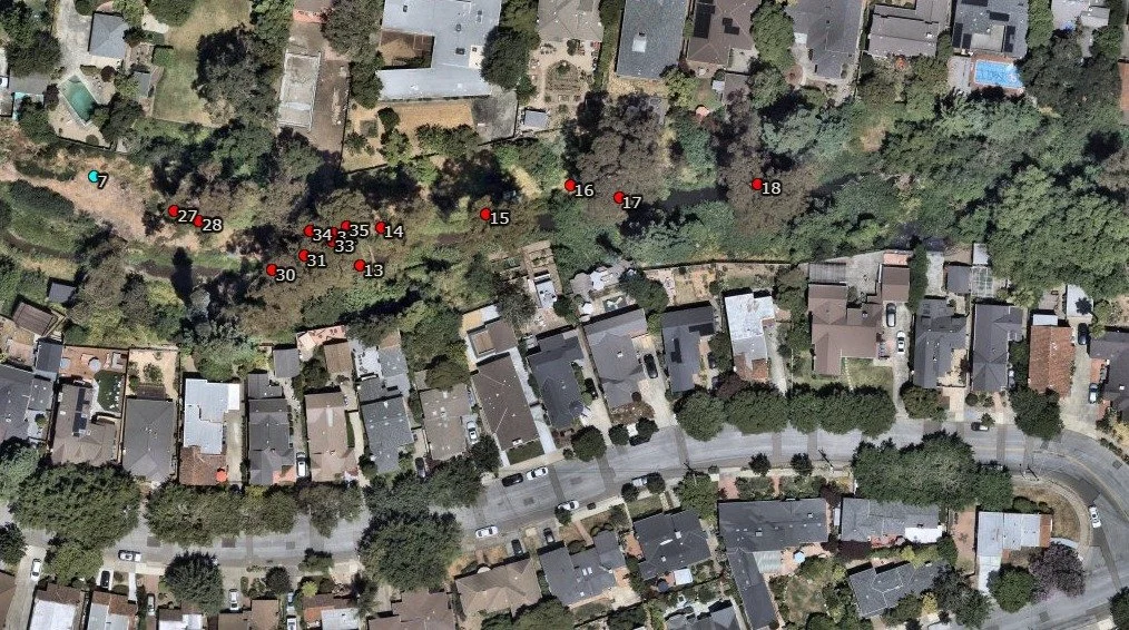 Marked_Tree_Map_Cary_Dr_West.jpg
