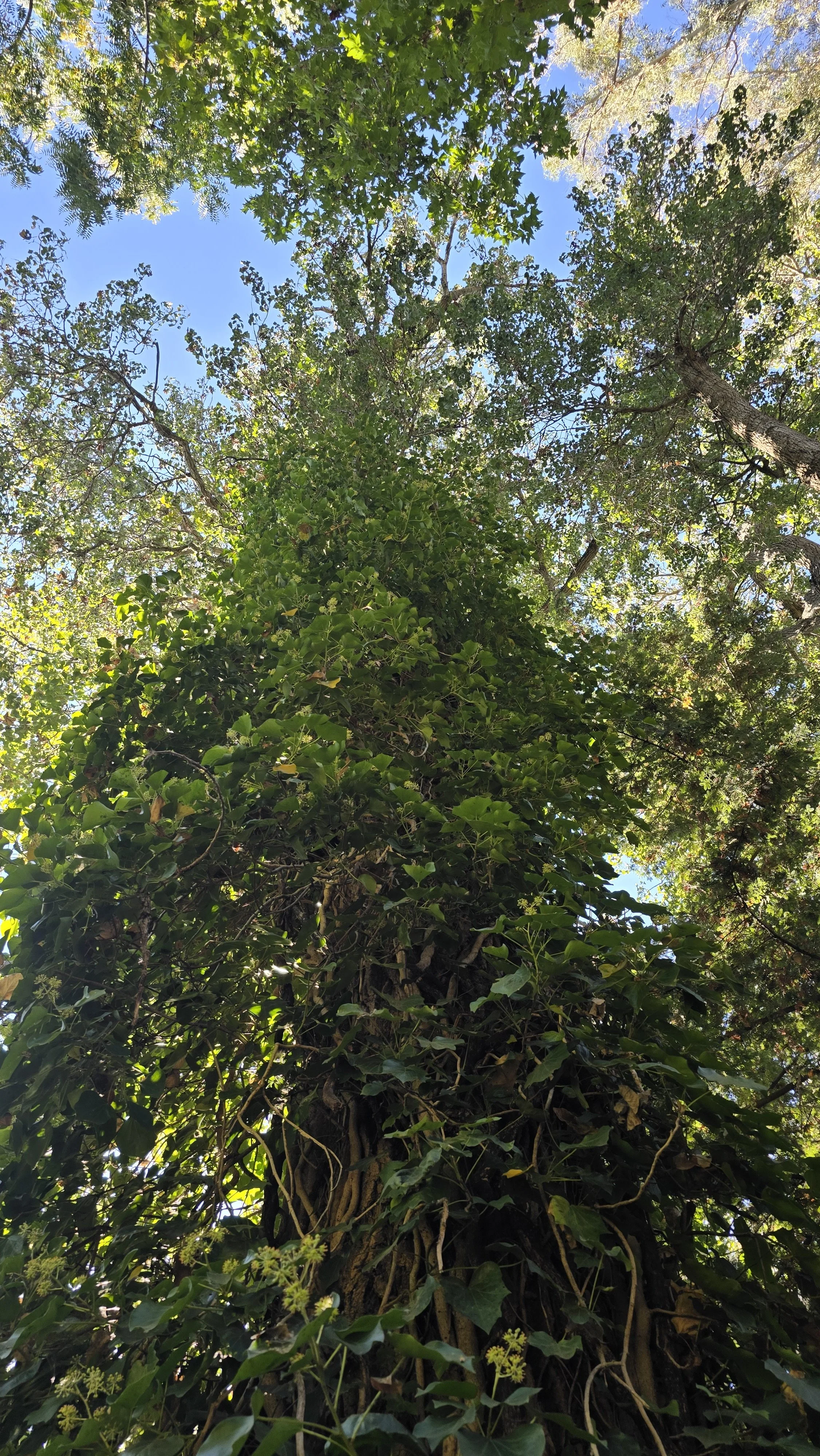 20241014_125750.jpg