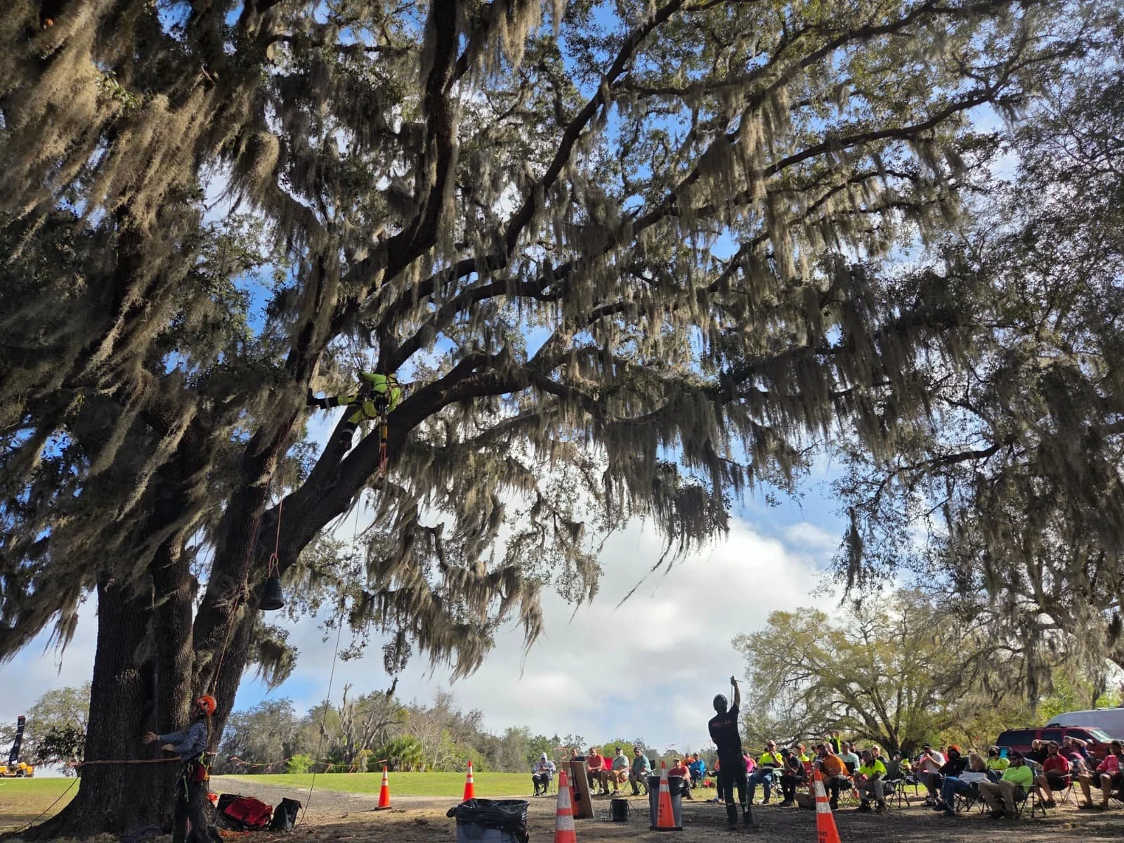 Tree Care training, rigging training, climbing training, electrical, rope, safety, drop zone, groundman,climber, tree