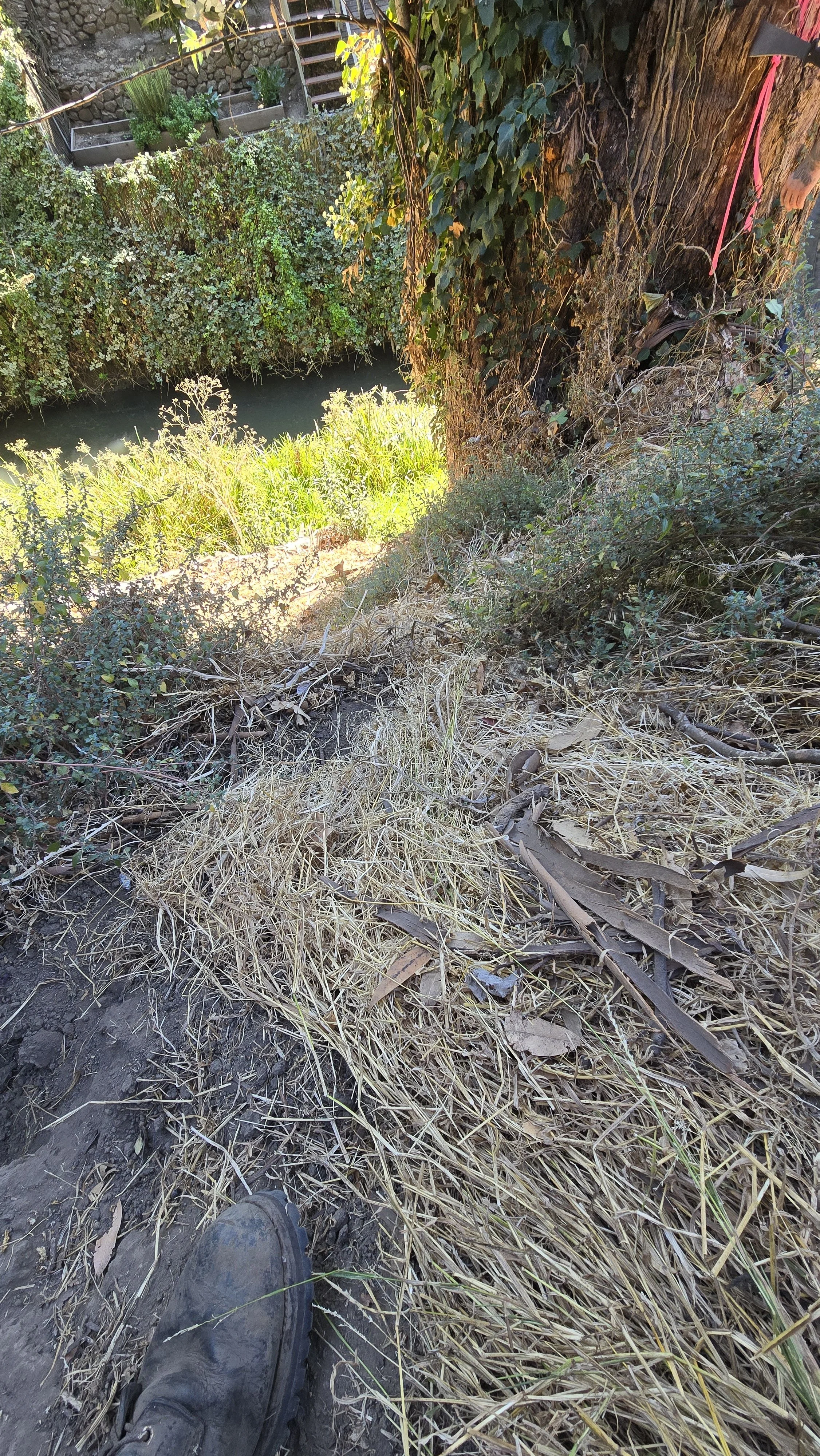 20241014_134024.jpg